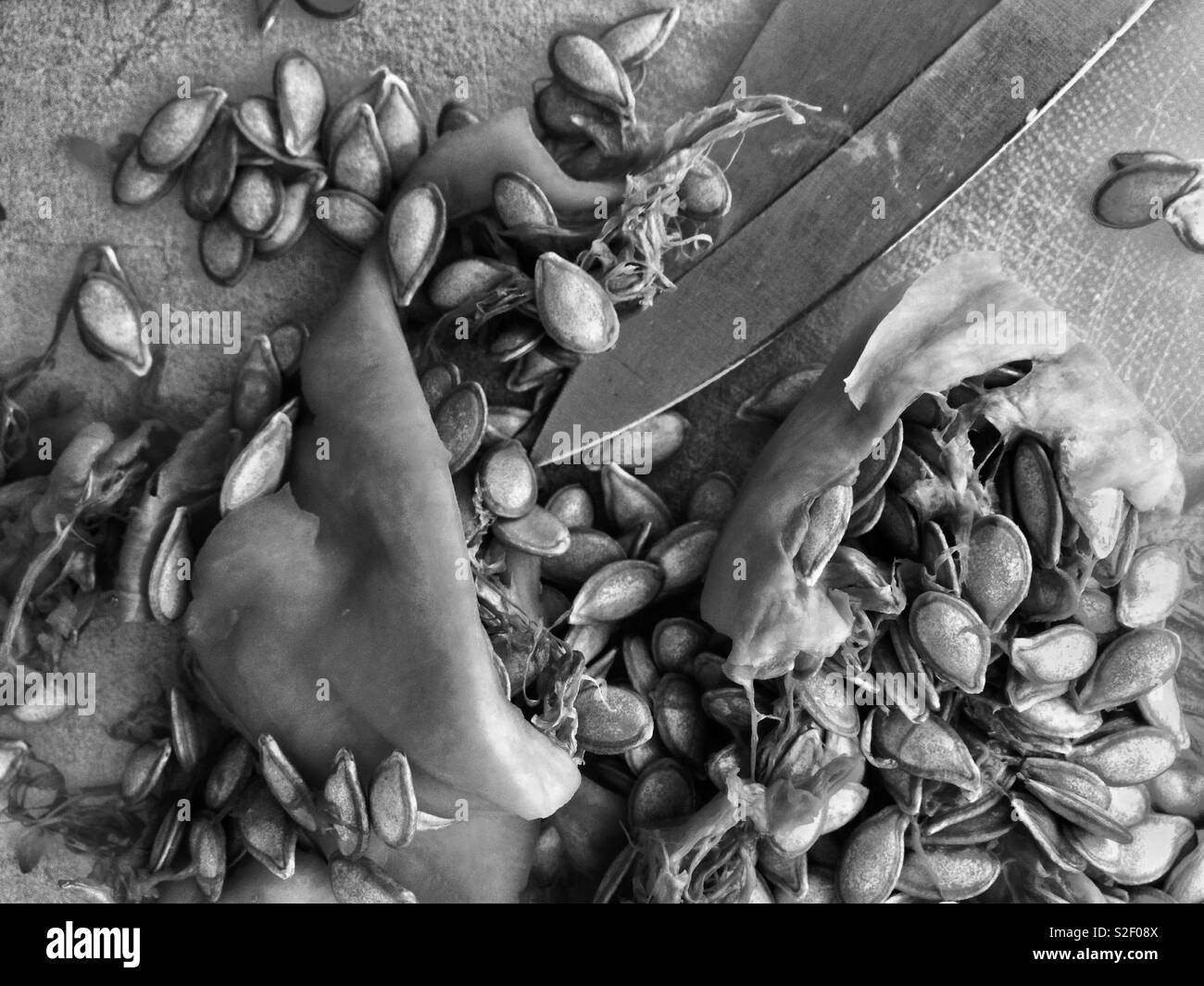 Pulp Kitchen: Black and white closeup photo of pulp and seeds of butternut squash and knife on a chopping board. Stock Photo