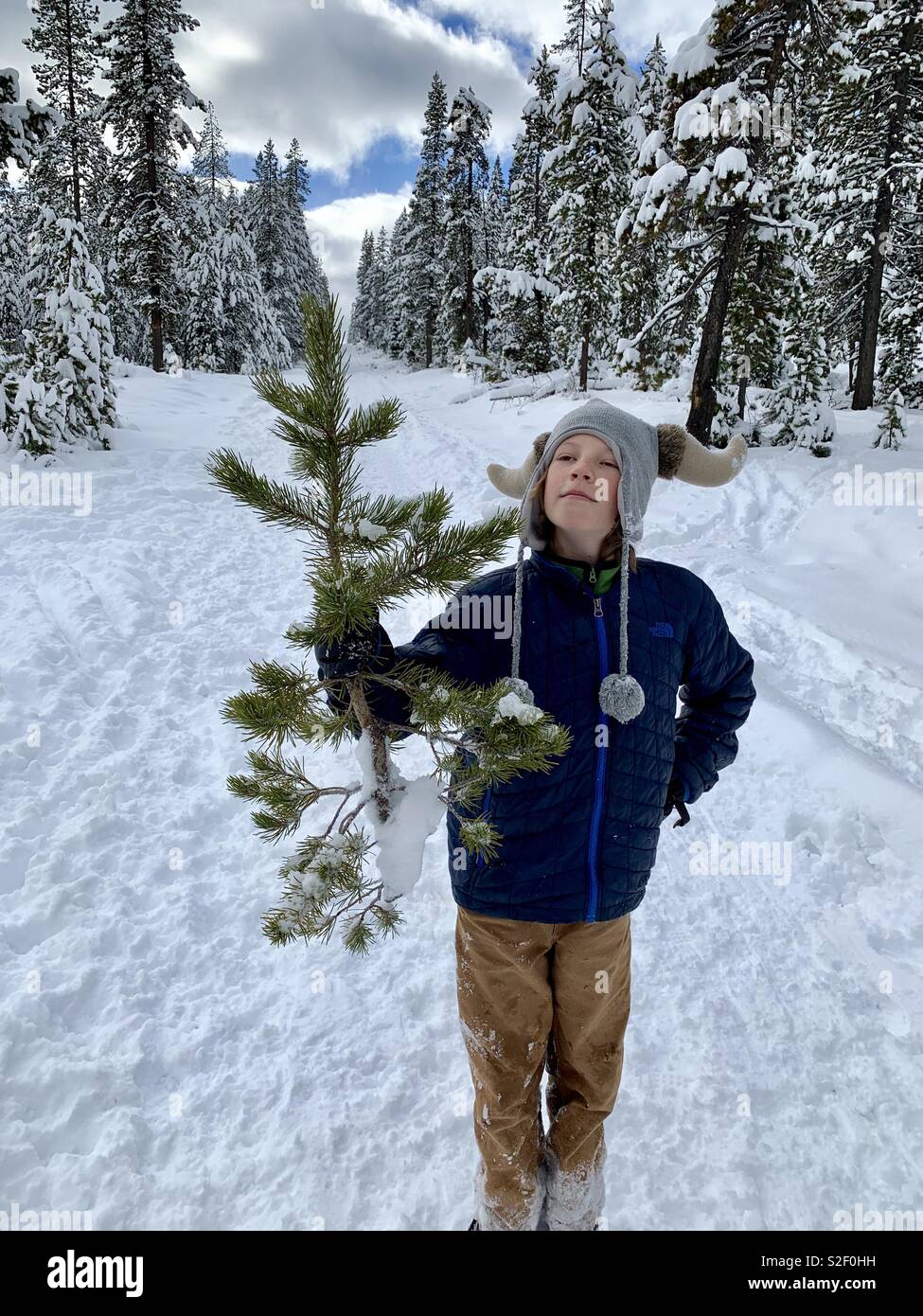 The Charlie Brown tree Stock Photo Alamy