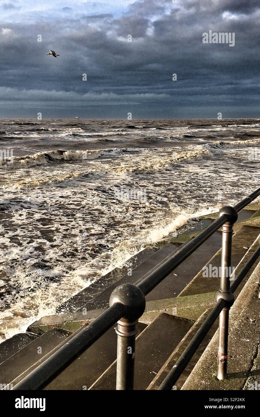 Wild Winter Sea - Smartphone Captured Stock Image