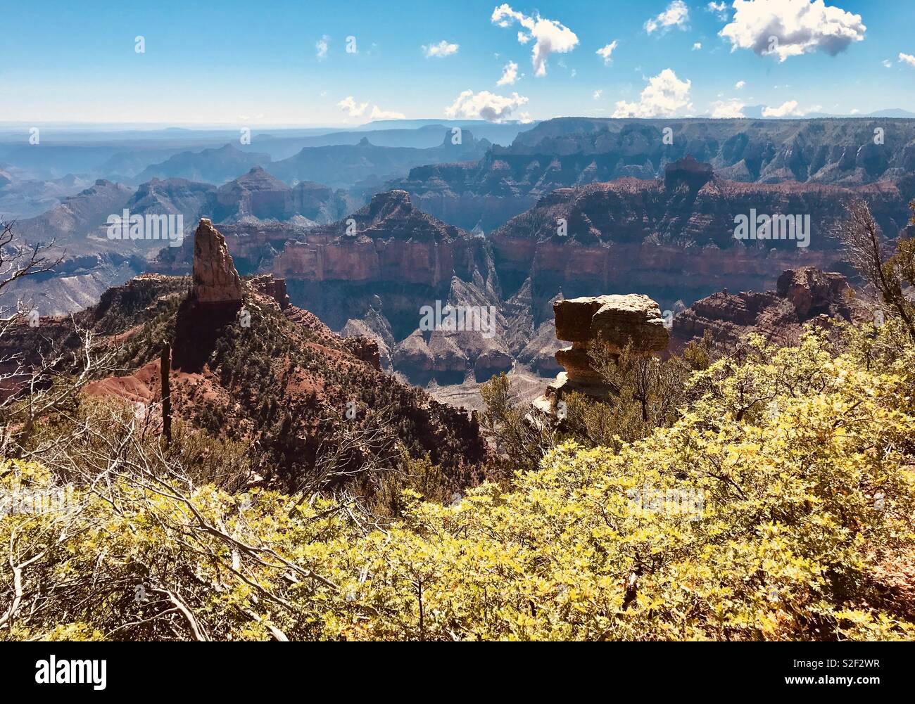 Grand Canyon north rim - Smartphone Captured Stock Image