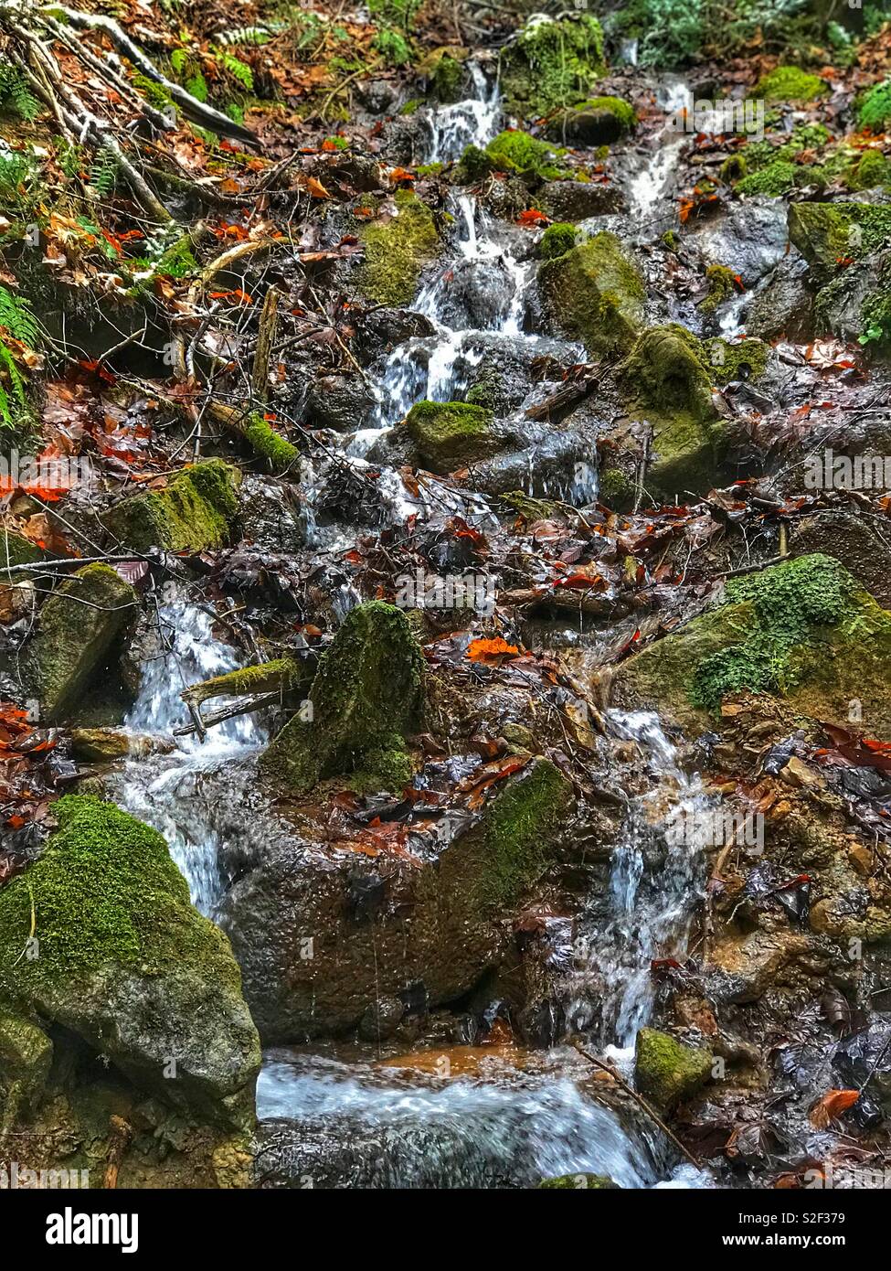 Tiny hillside stream Stock Photo