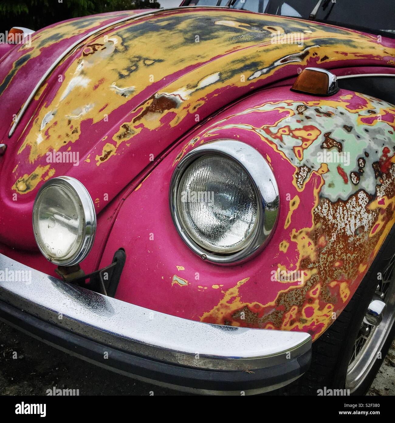 Accidental art the history of a VW Beetle's paint job revealed Stock