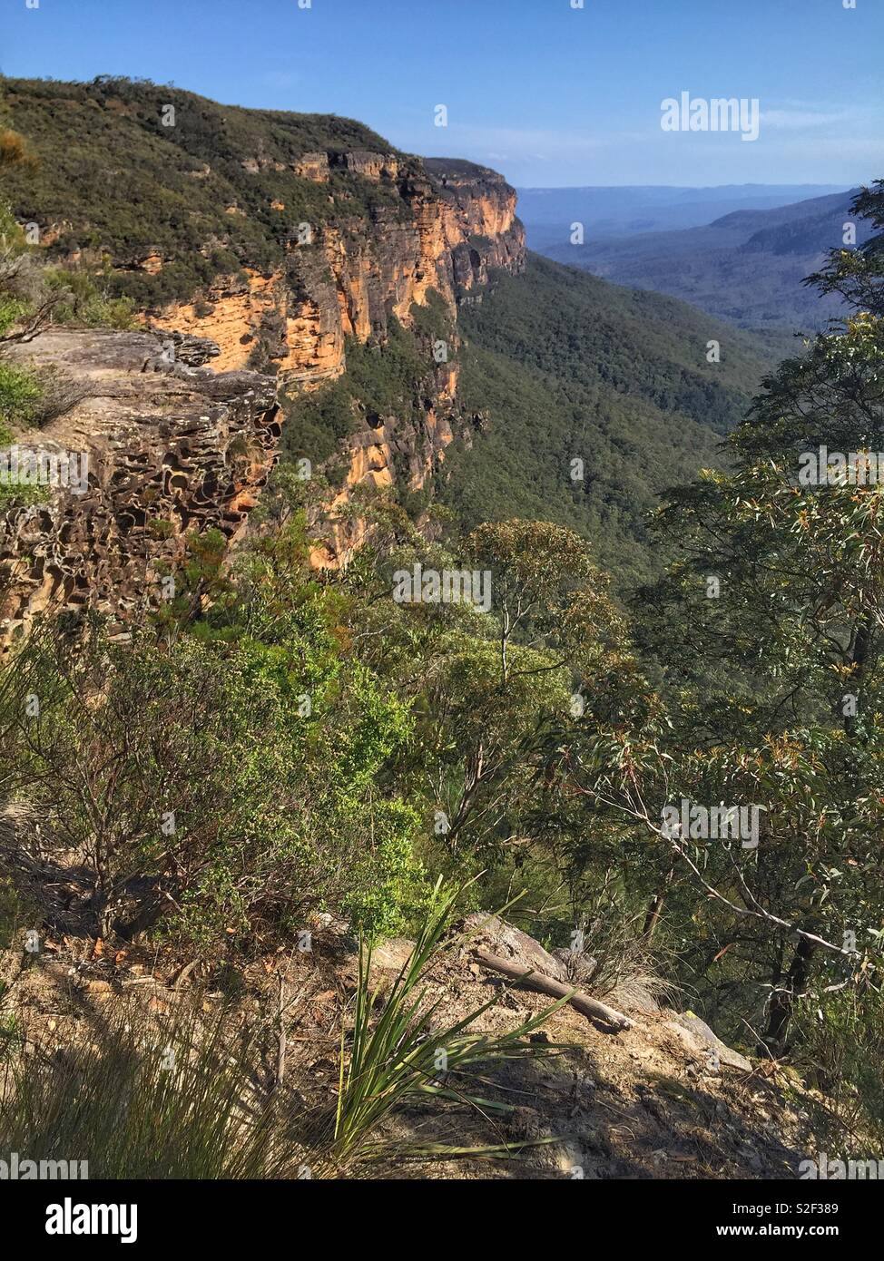 Kedumba Walls and Kings Tableland from the Undercliff Track, Blue