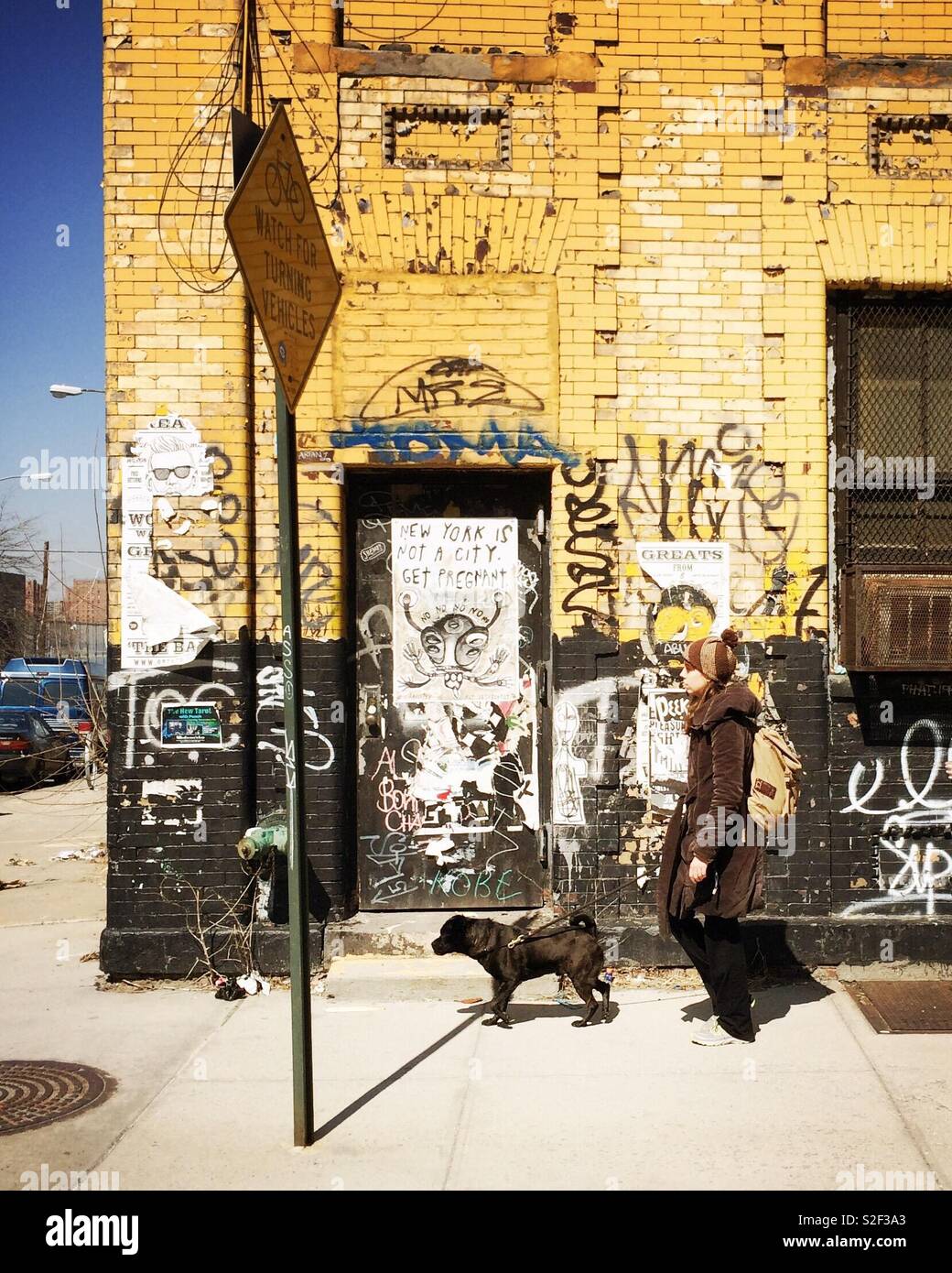 Woman walking her dog, Williamsburg, Brooklyn, New York, USA. - Smartphone Captured Stock Image