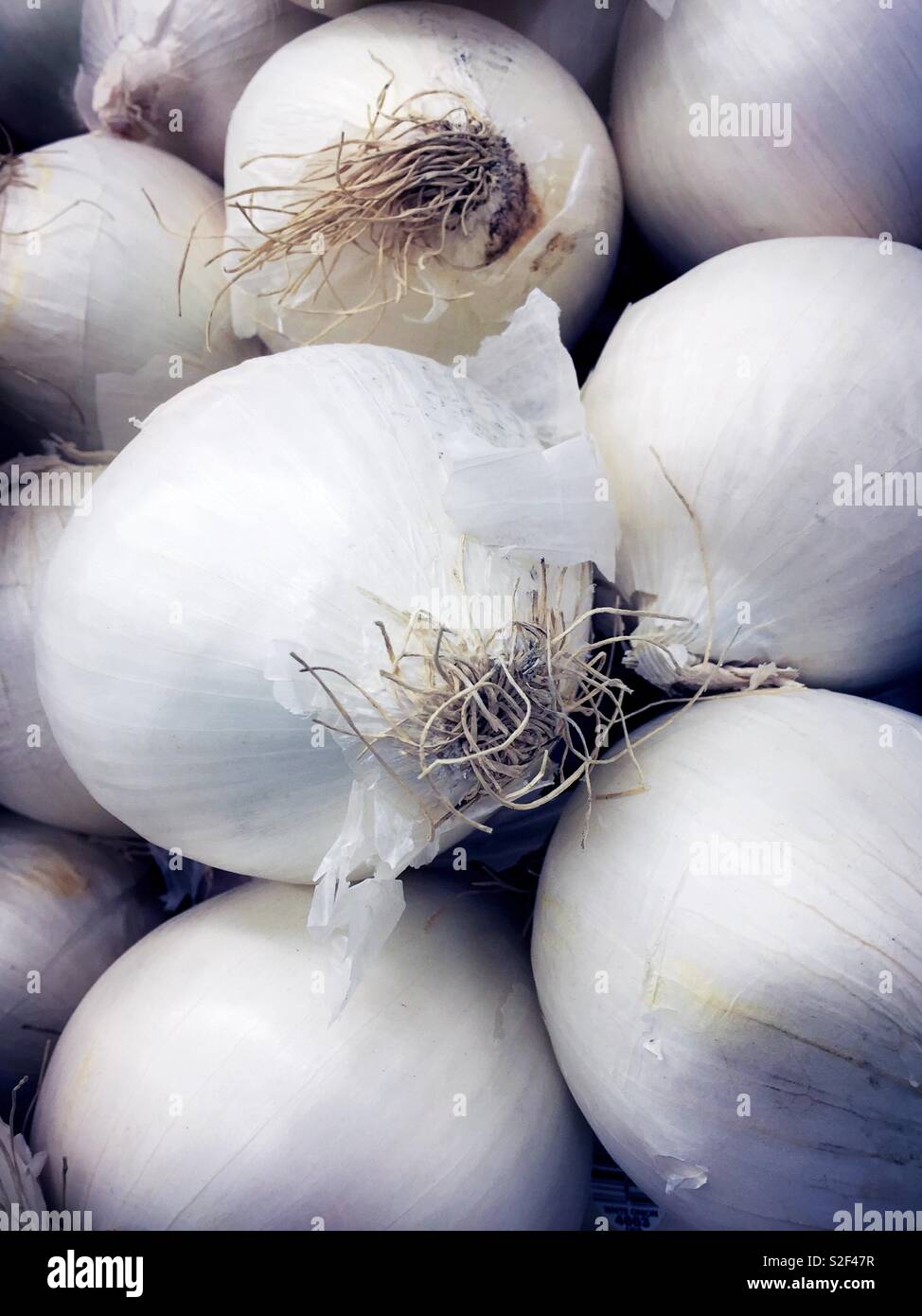 The onion route hi-res stock photography and images - Alamy