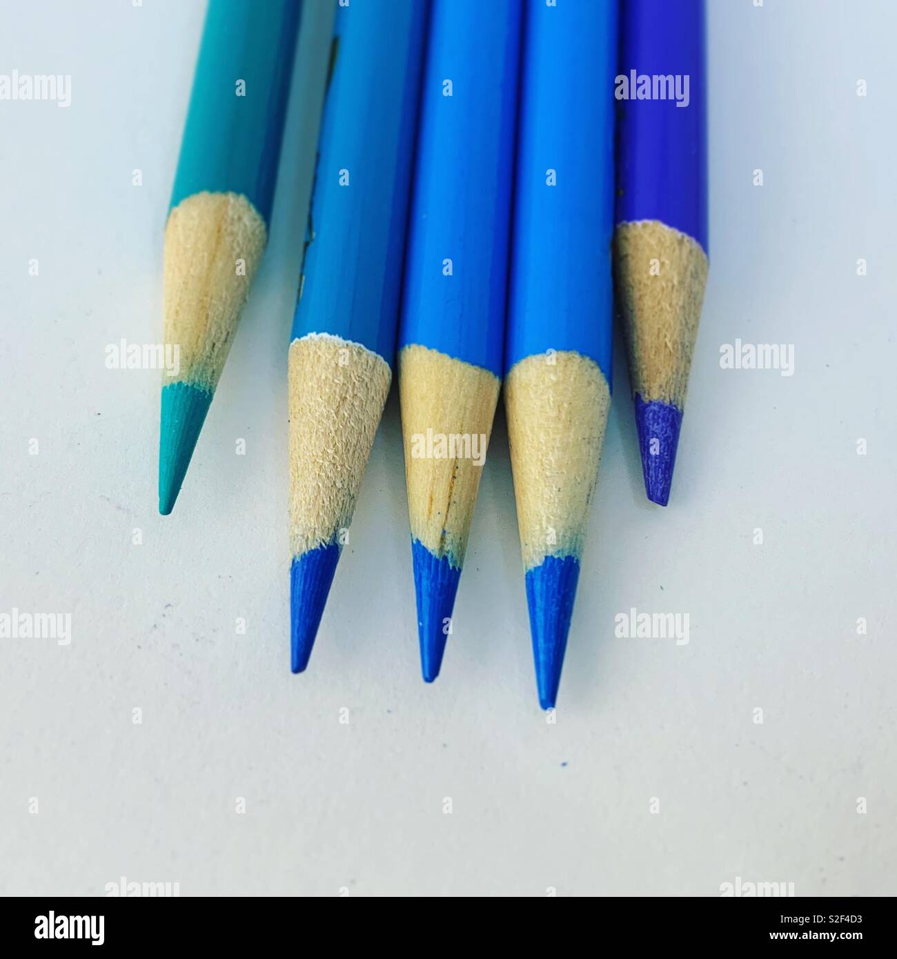 Blue colored pencils freshly sharpened - Smartphone Captured Stock Image