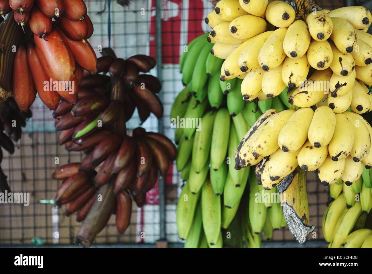 Red Bananas Vs Yellow