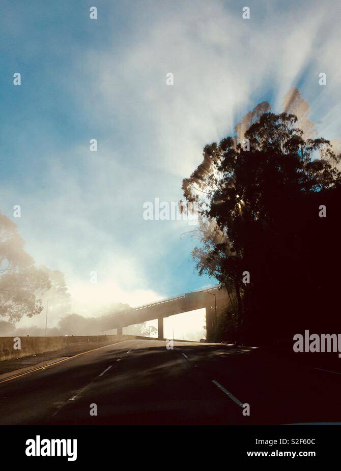 Foggy street - Smartphone Captured Stock Image