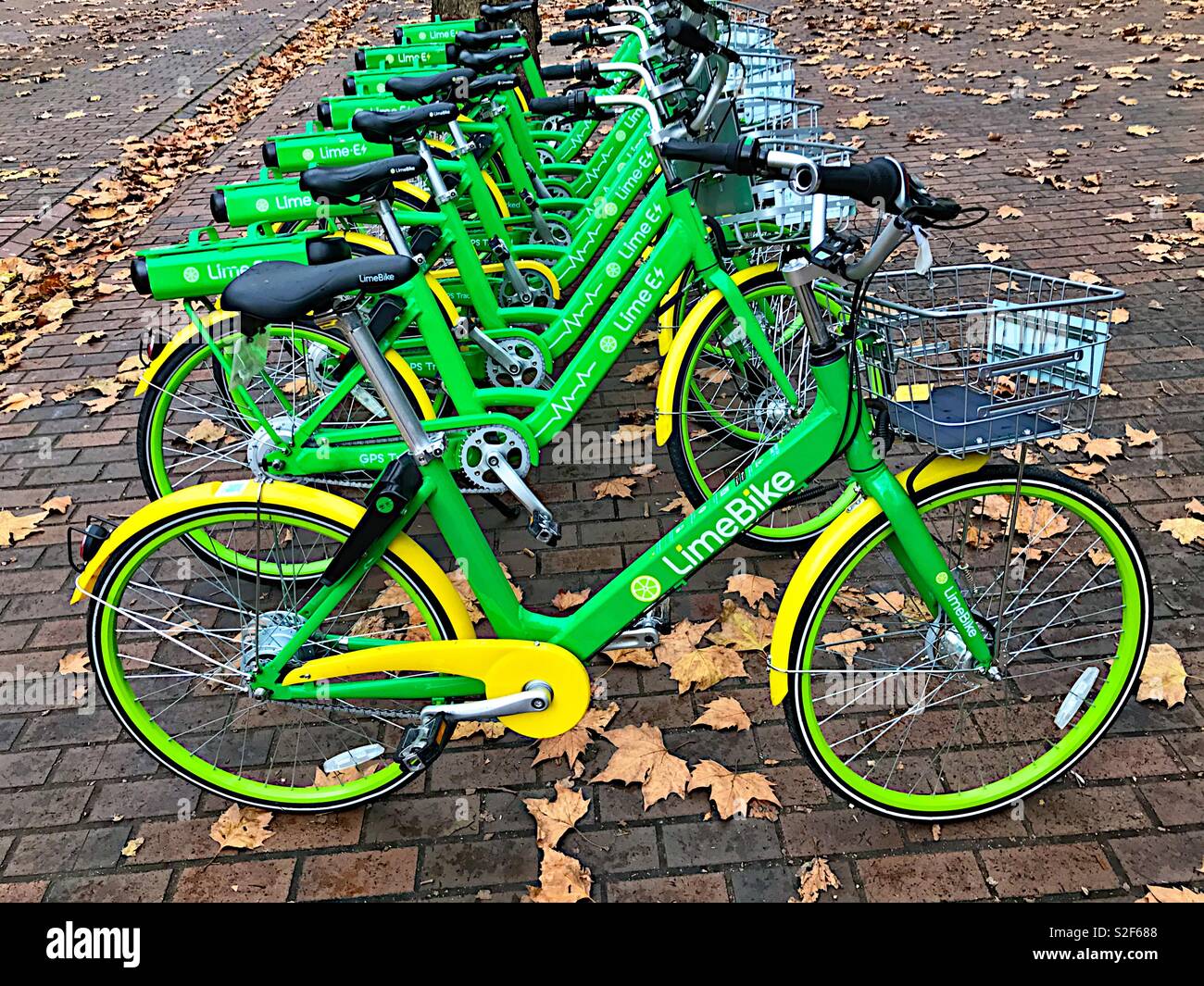 A row of Lime Bikes in Seattle Stock Photo - Alamy
