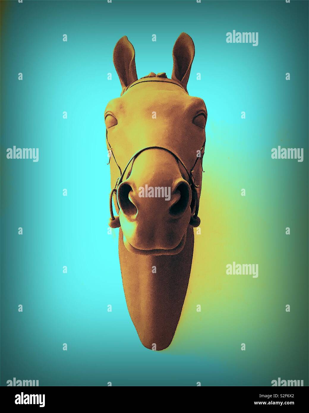 Horse’s head on the wall Stock Photo Alamy