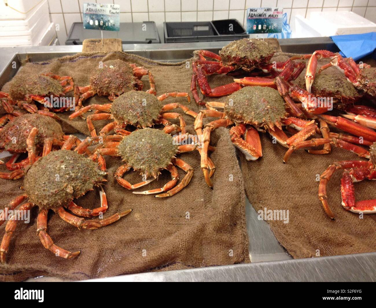 French crabs for sale hi-res stock photography and images - Alamy
