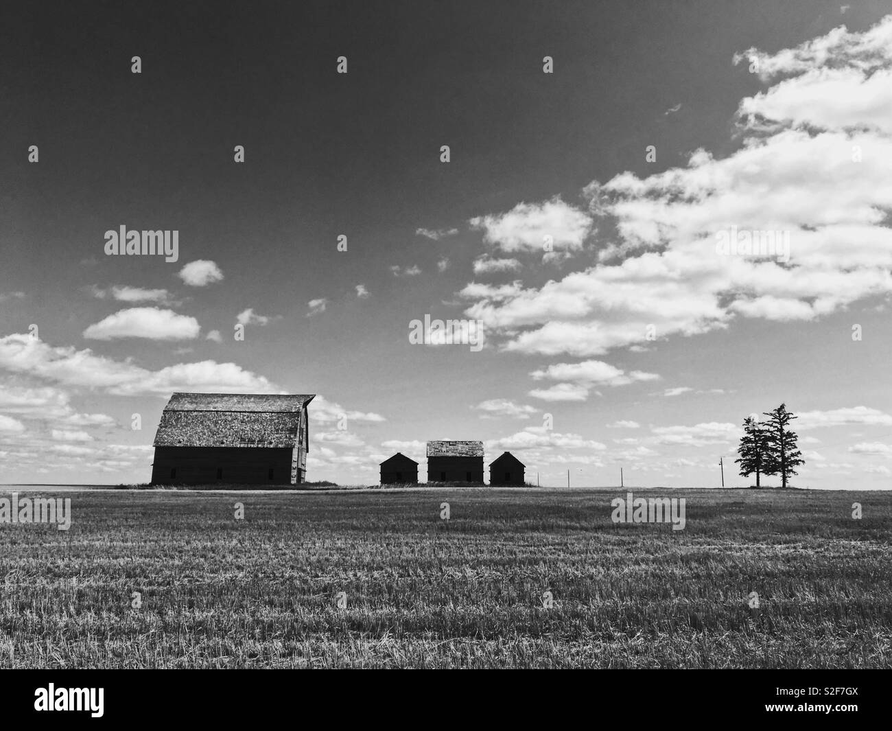 Old barns in a field on a sunny day. In black and white. - Smartphone Captured Stock Image