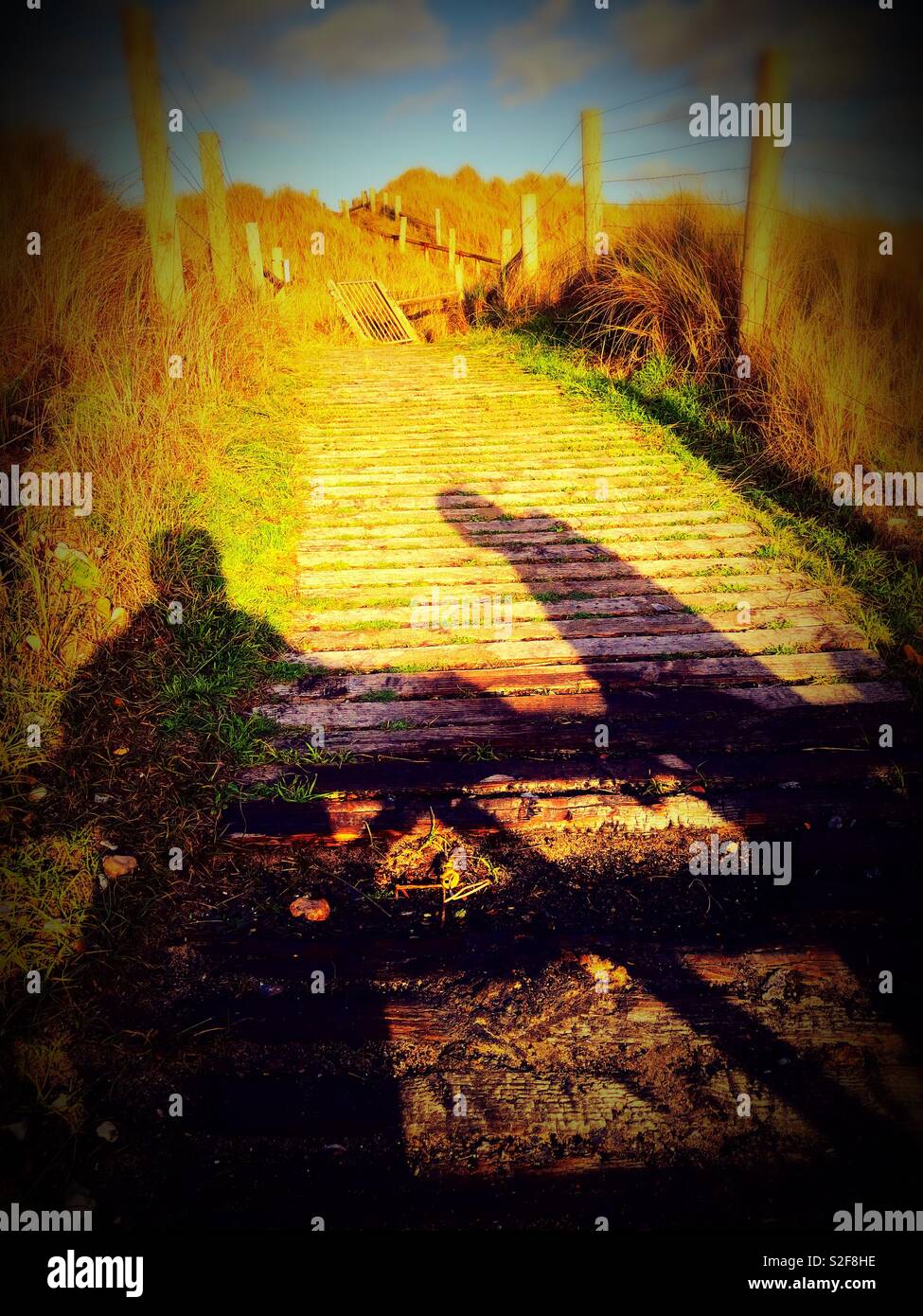 Shadows of couple leaning on gate at end of boardwalk in late winter sunshine - Smartphone Captured Stock Image