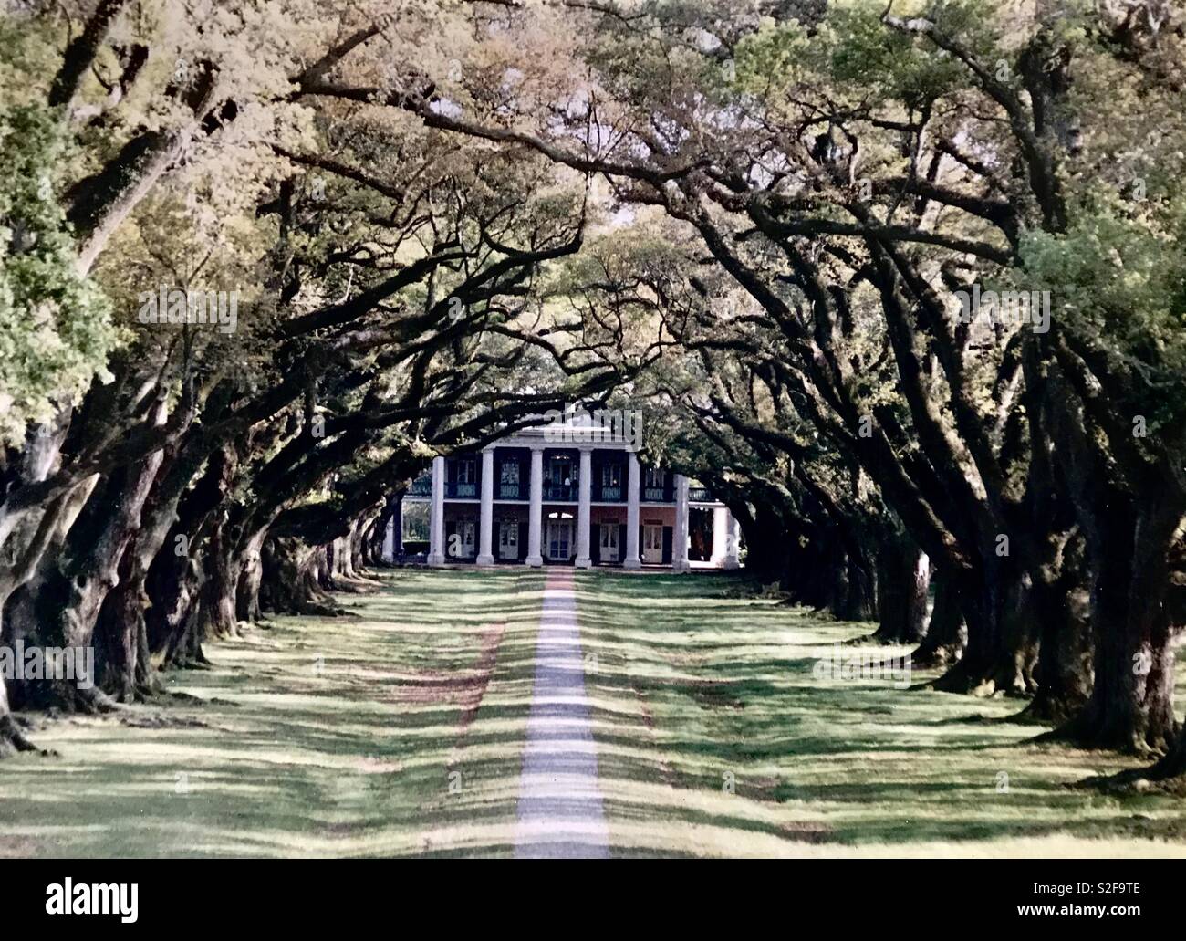 New orleans house tree hires stock photography and images Alamy