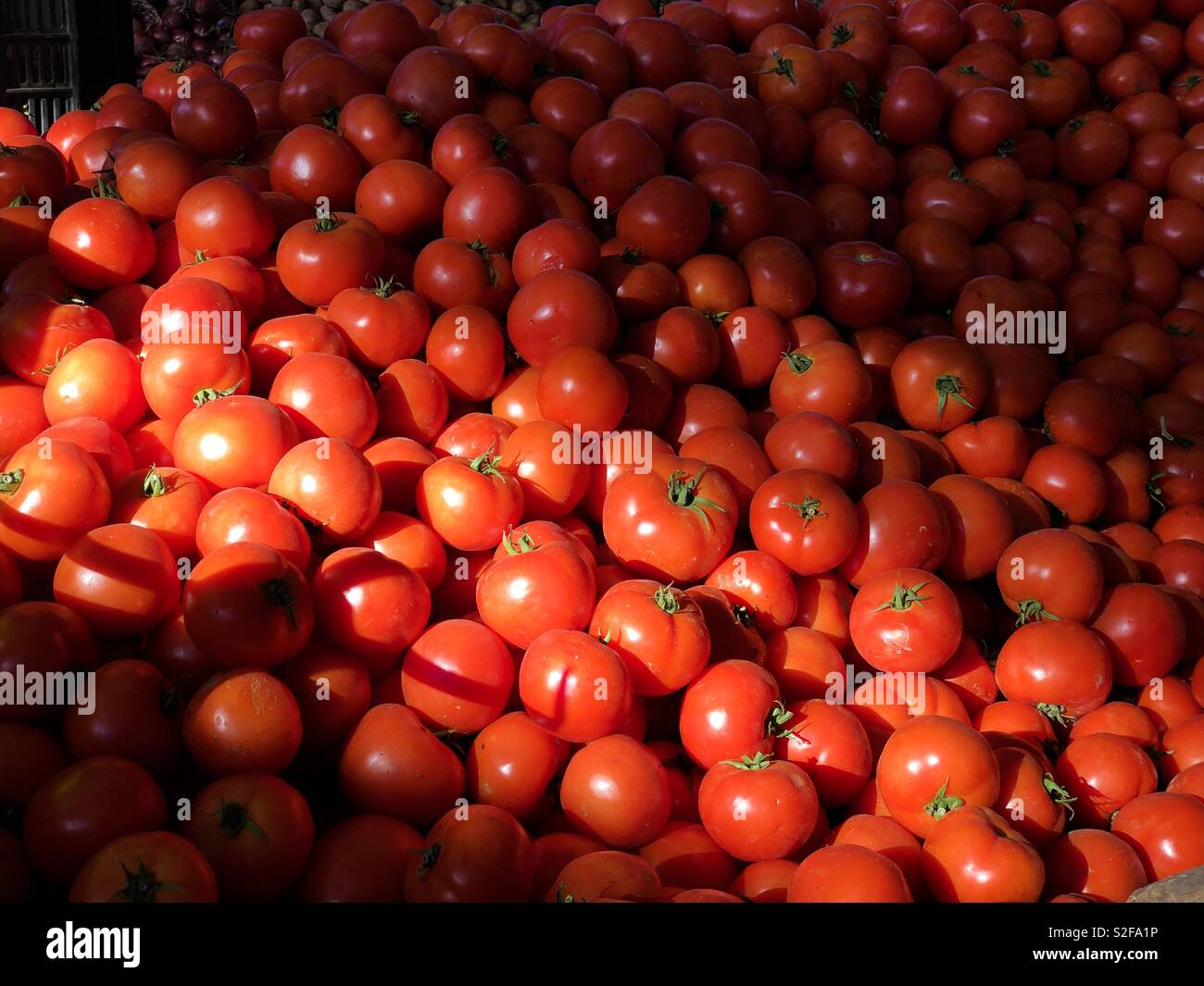 Tomatoes for sale at a souk in Morocco - Smartphone Captured Stock Image