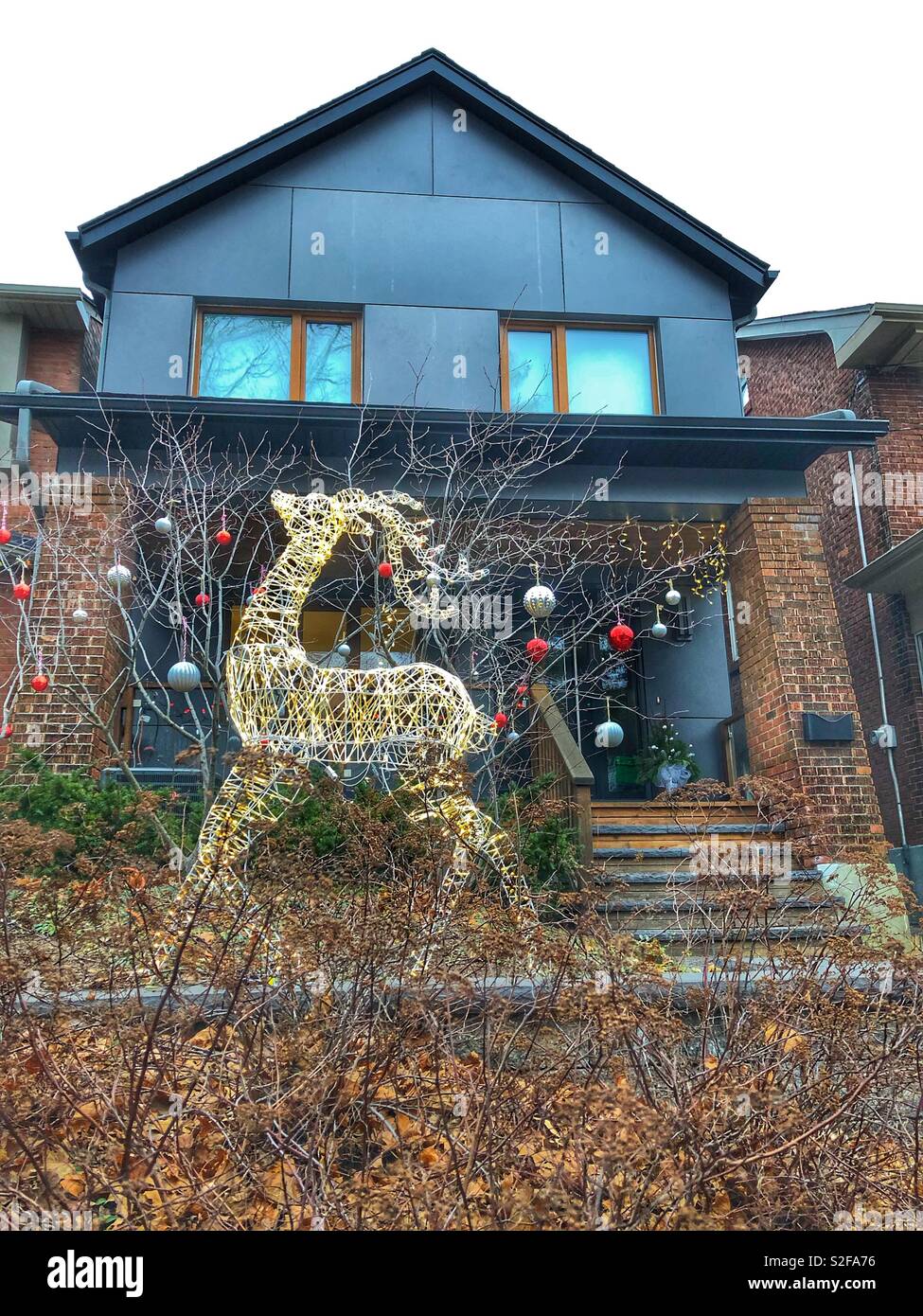 An illuminated reindeer stands on the front lawn for the Christmas season. - Smartphone Captured Stock Image