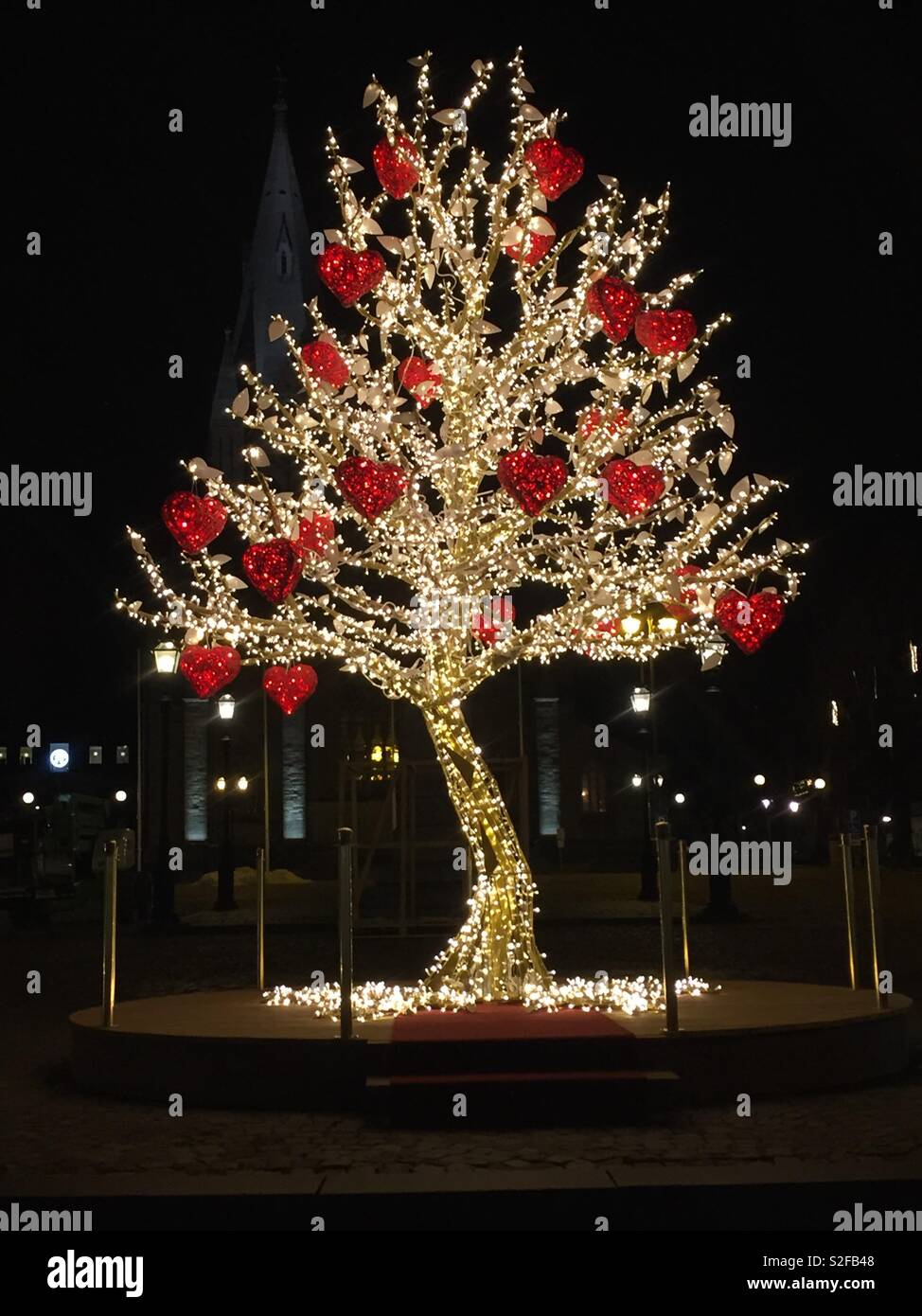 Christmas tree of love. - Smartphone Captured Stock Image