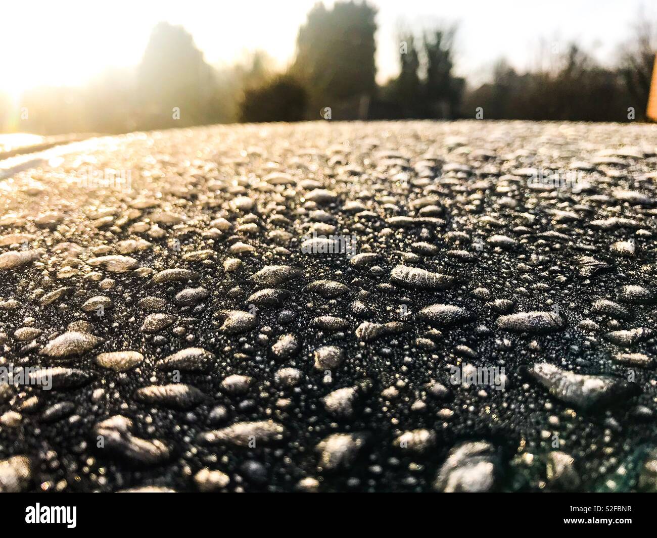 Frosted water drops with sunlight behind - Smartphone Captured Stock Image