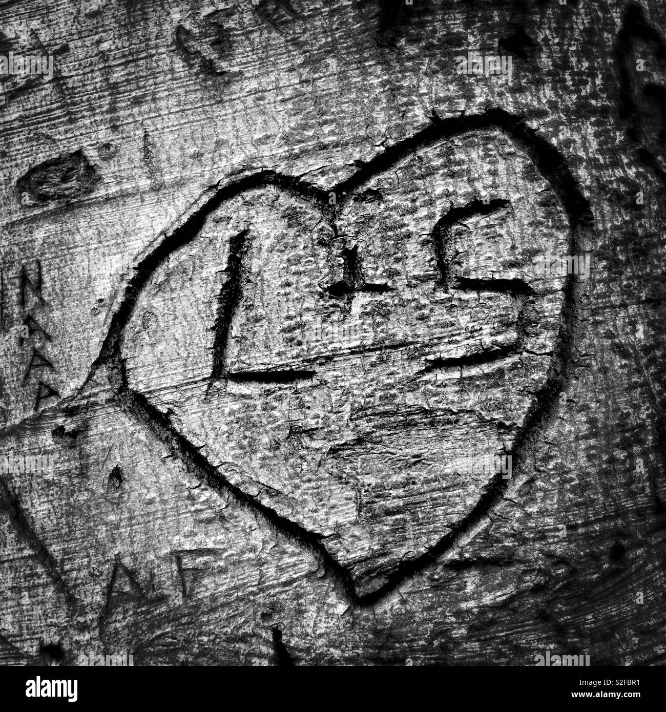 Heart and initials graffiti carved into tree trunk Stock Photo