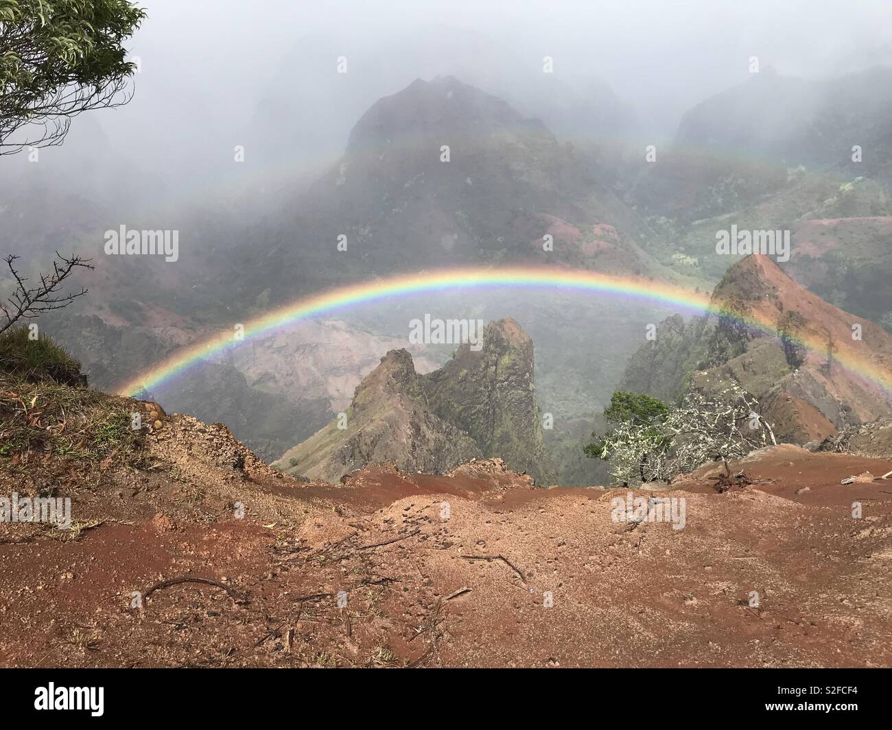 Kauai hawaii rainbow in the canyon hi-res stock photography and images ...