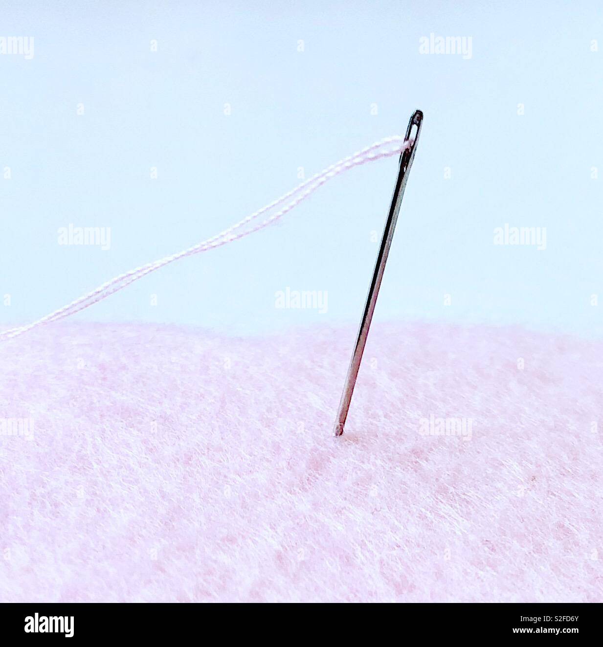 Needle and thread on pink felt - Smartphone Captured Stock Image