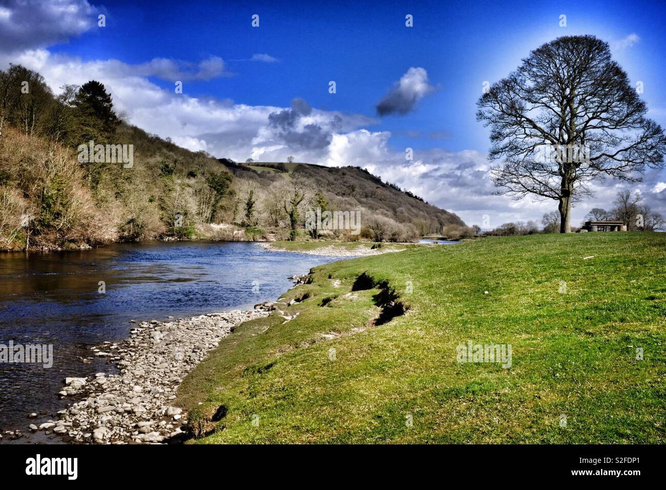 River Scene - Smartphone Captured Stock Image