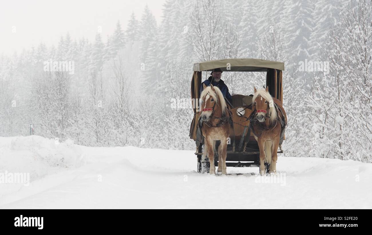 Horse carriage in a snowy winter wonderland - Smartphone Captured Stock Image