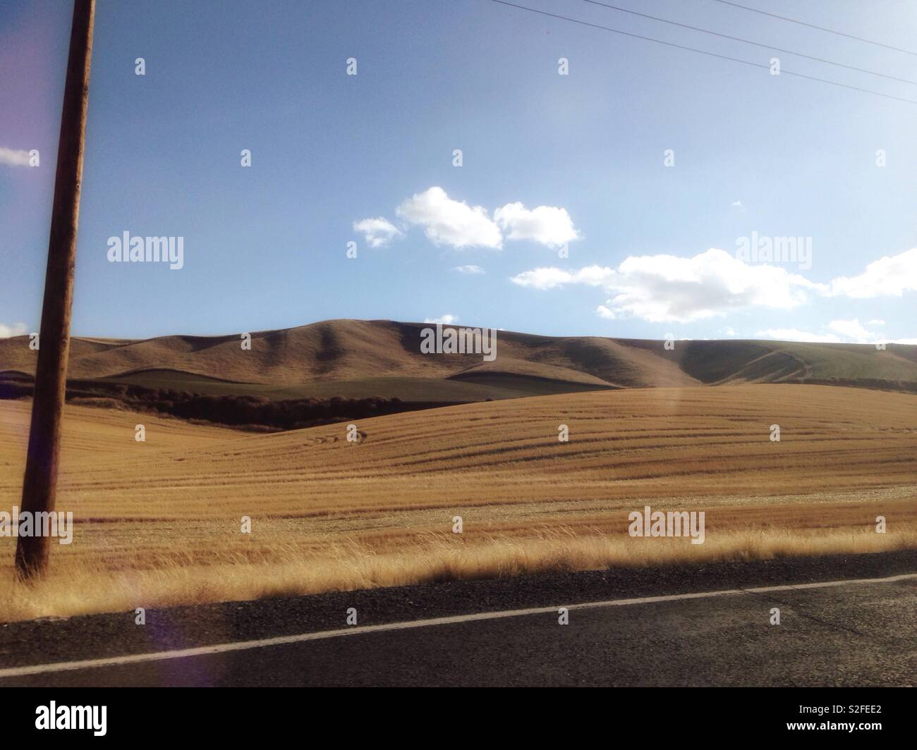 Rolling hills of Eastern Washington state planted in winter wheat as seen through a car window- November - Smartphone Captured Stock Image