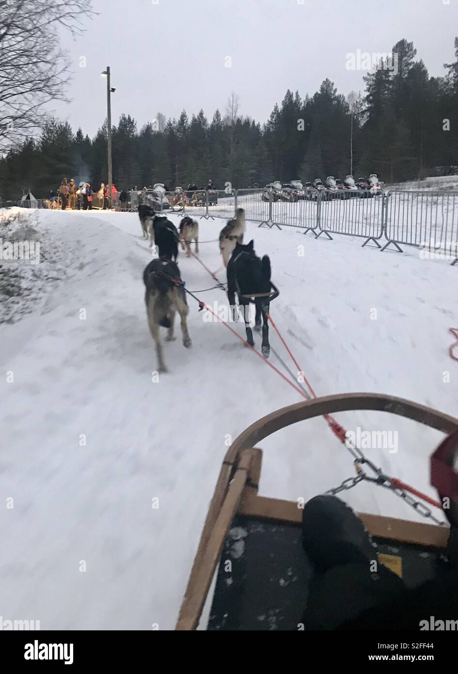 Dog sledding in Lapland Stock Photo