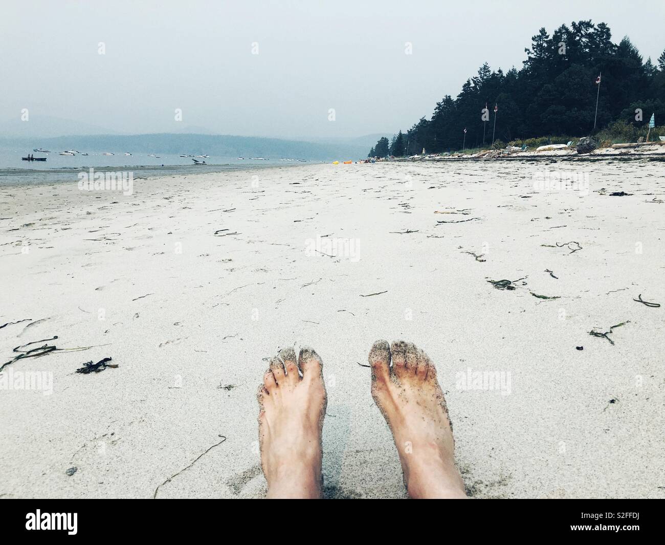 White sans of Savory Island, Sunshine Coast, BC, Canada - Smartphone Captured Stock Image