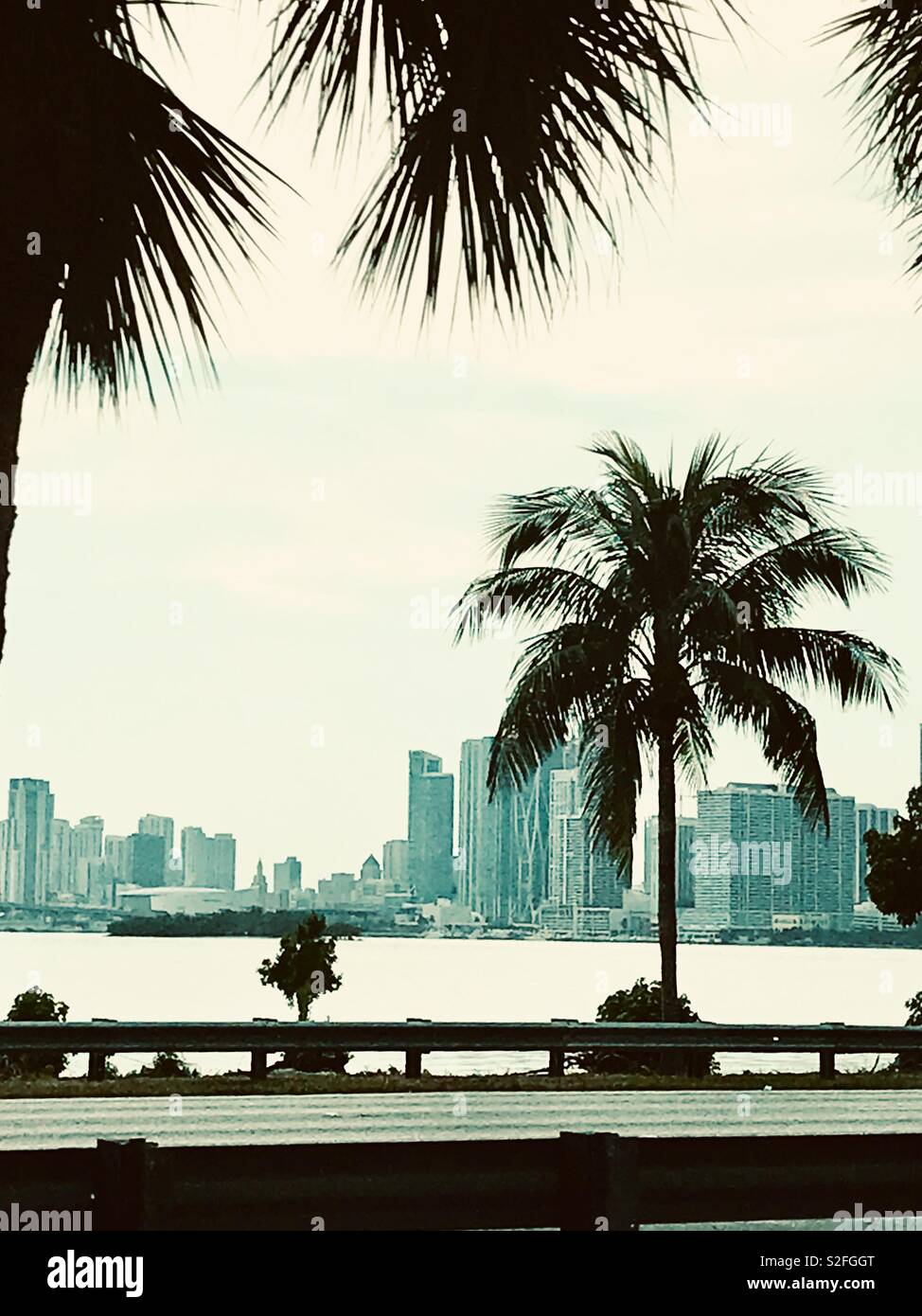 Palm trees framing the skyline of Miami Florida Stock Photo