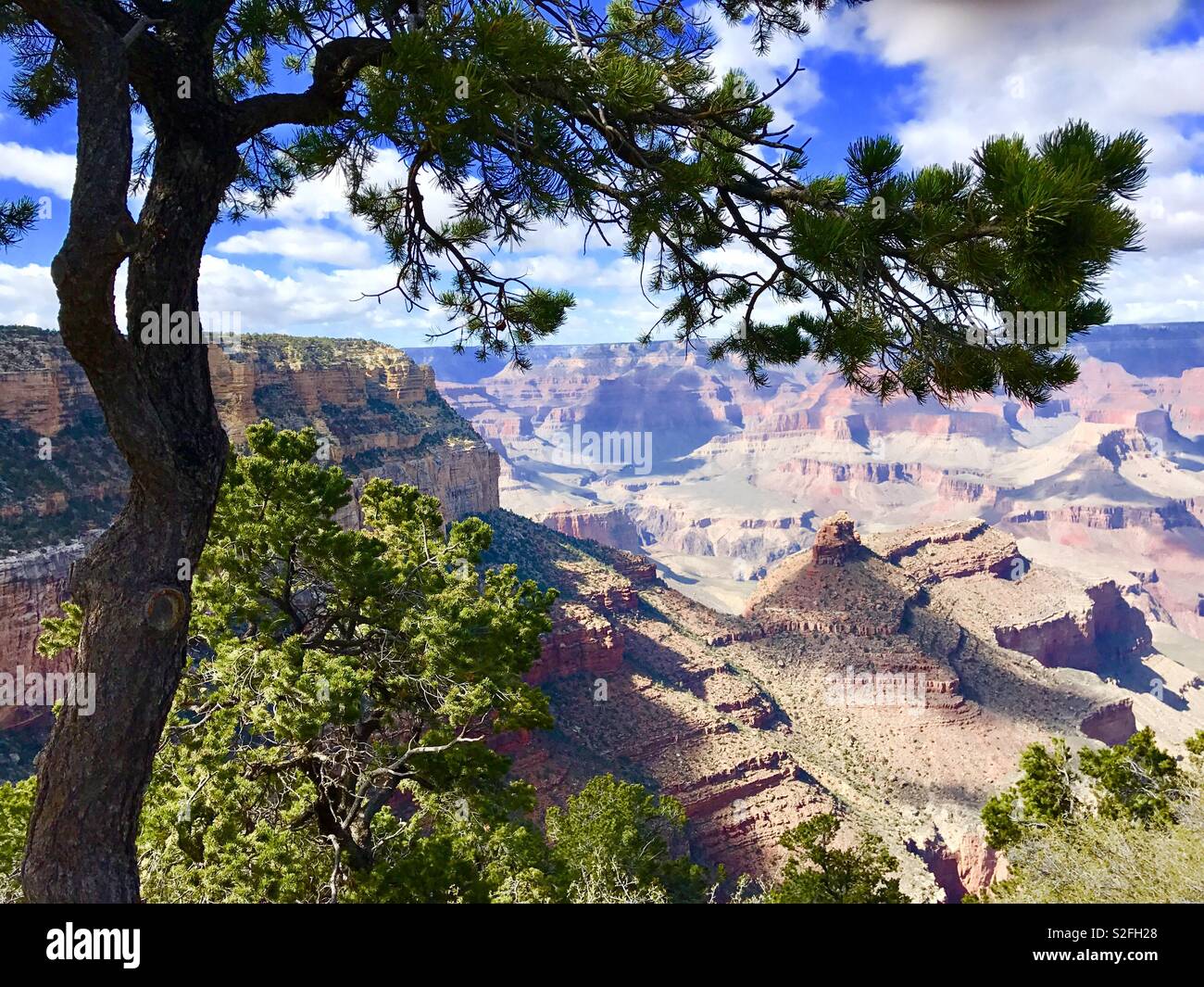 Grand Canyon - Smartphone Captured Stock Image