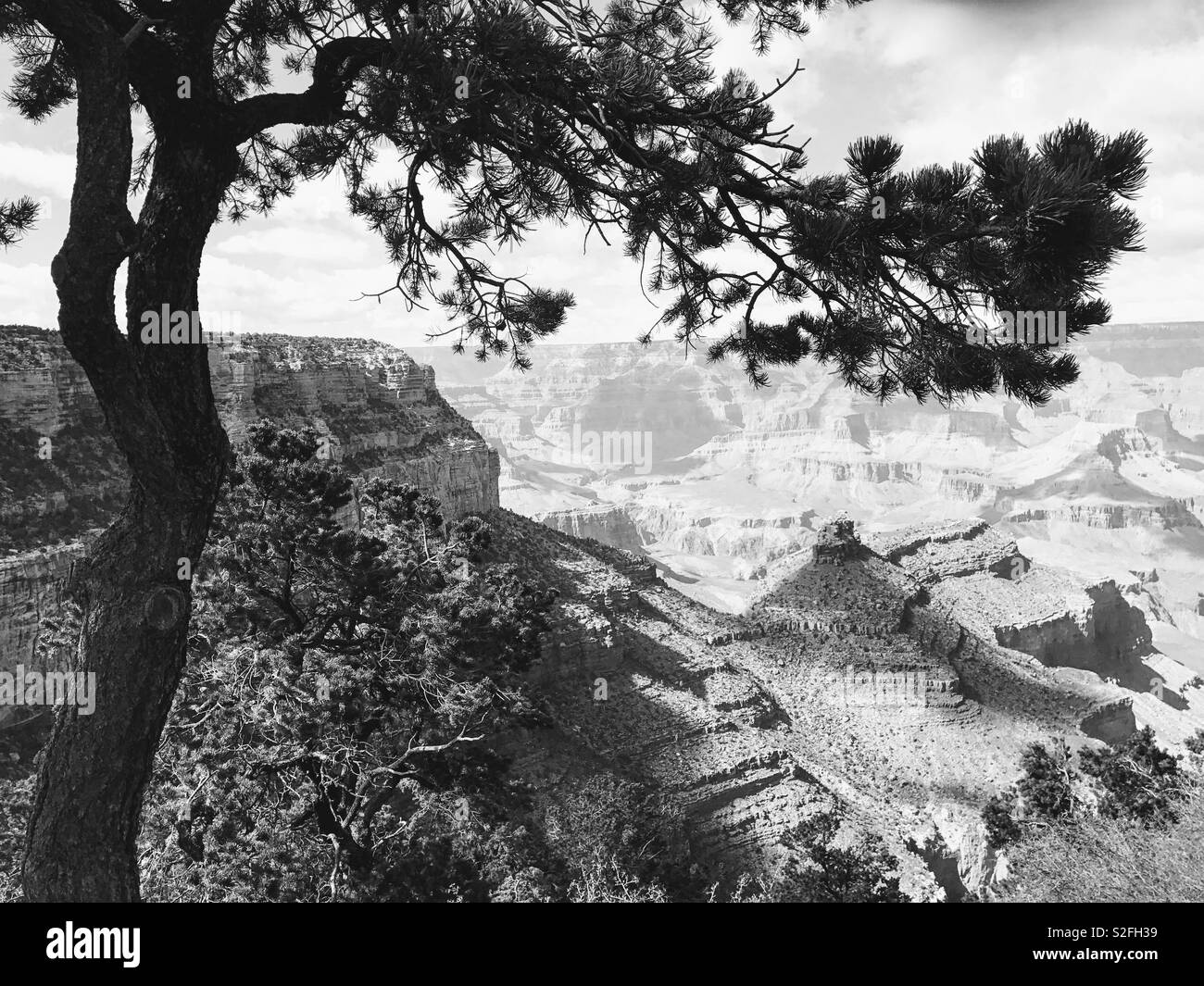 Grand Canyon south rim - Smartphone Captured Stock Image