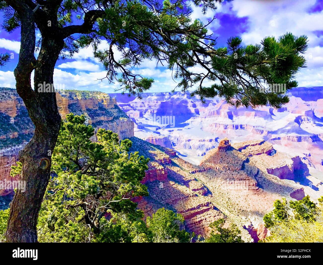 Grand Canyon south r - Smartphone Captured Stock Image