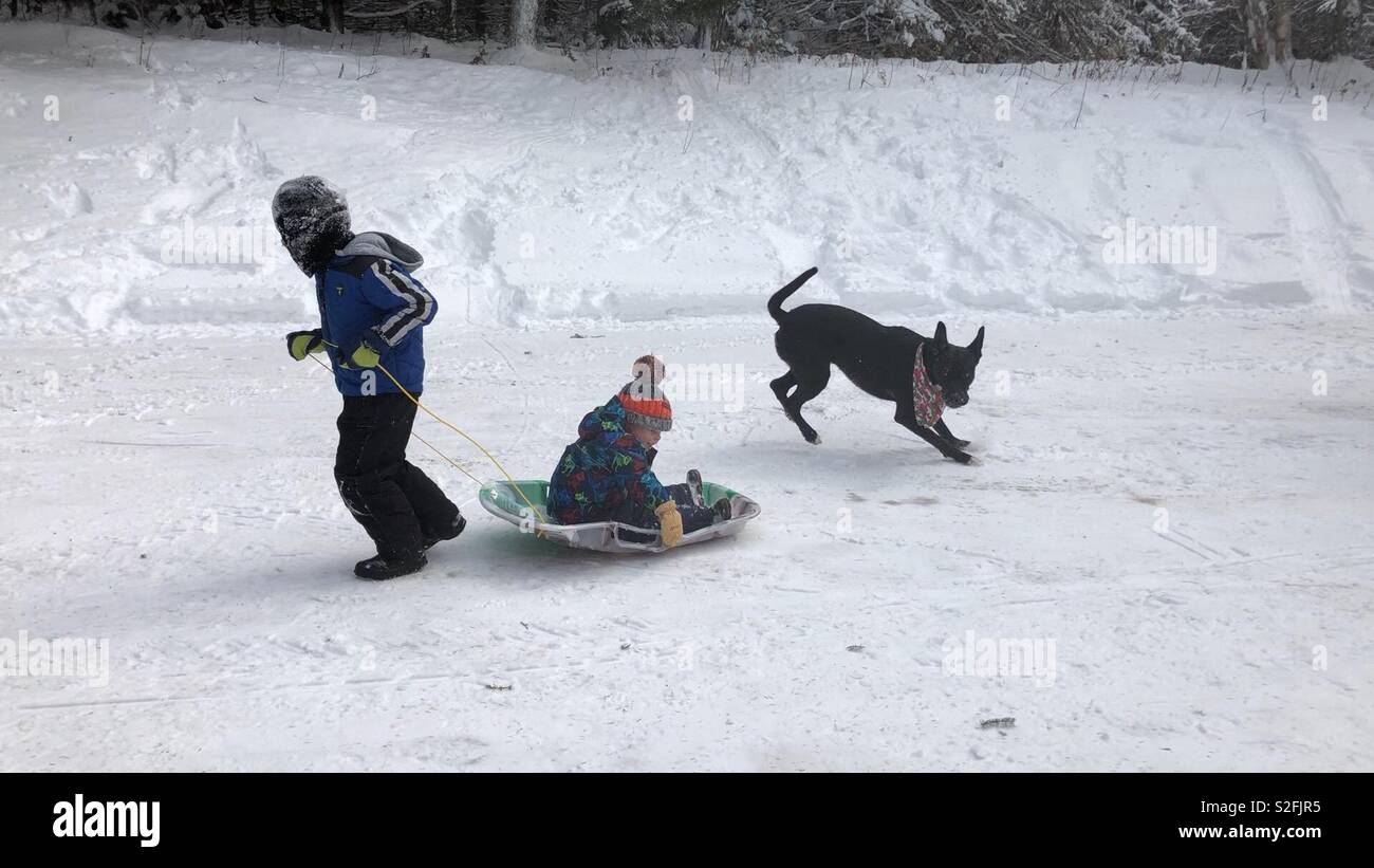 Two bot cousins playing in the snow with a dog. Big cousin is pulling ...