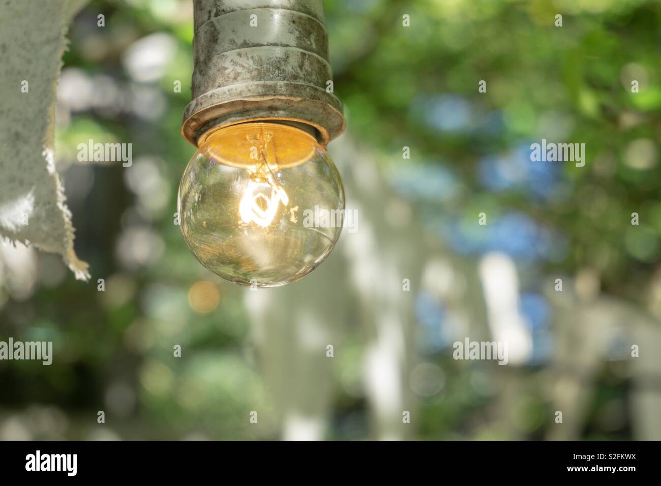 Light in the garden - Smartphone Captured Stock Image