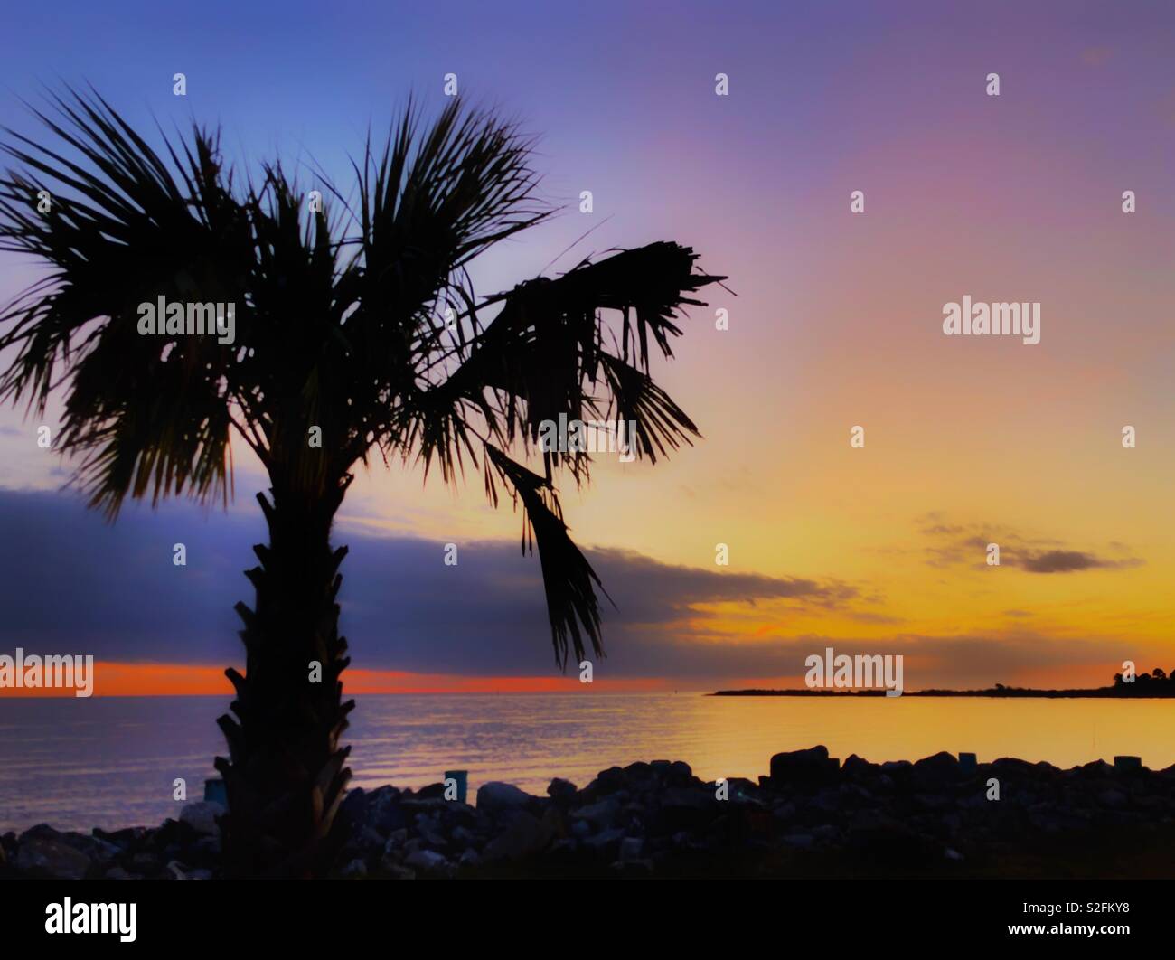 A palm tree is silhouetted as the sun sets on Bayou La Batre Beach, Dec. 23, 2018, in  Bayou La Batre, Alabama. Stock Photo