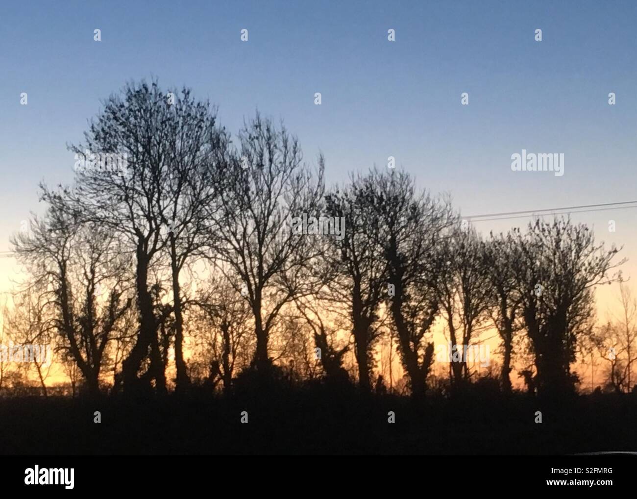Tree silhouettes against the sun hi-res stock photography and images ...