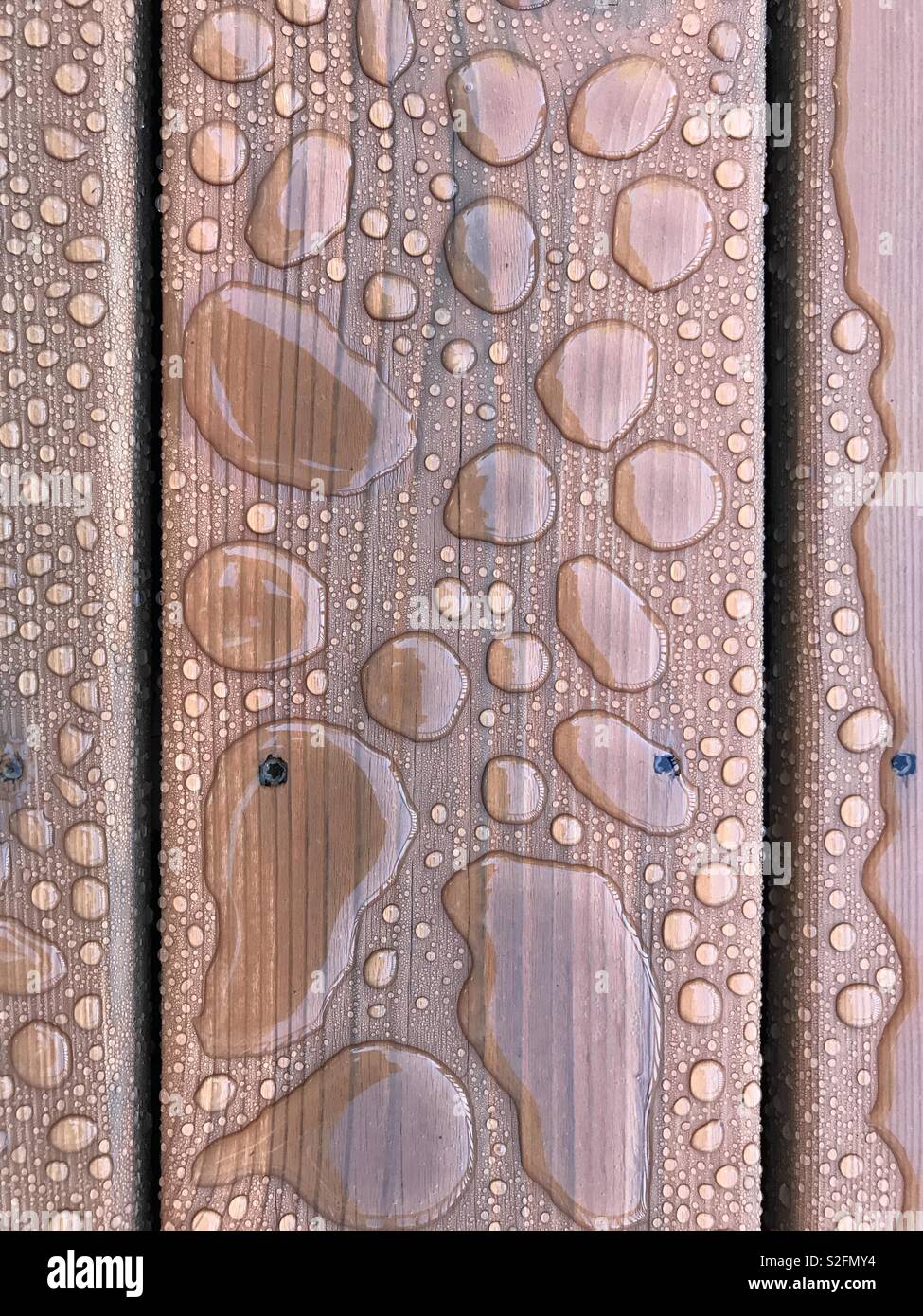 Water beading up on cedar decking Stock Photo Alamy