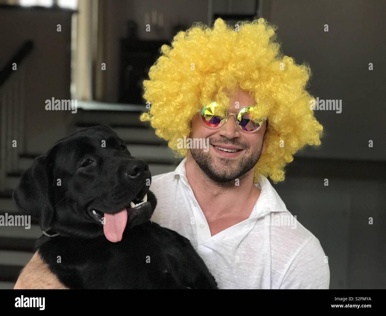 Dog Clown High Resolution Stock Photography and Images - Alamy