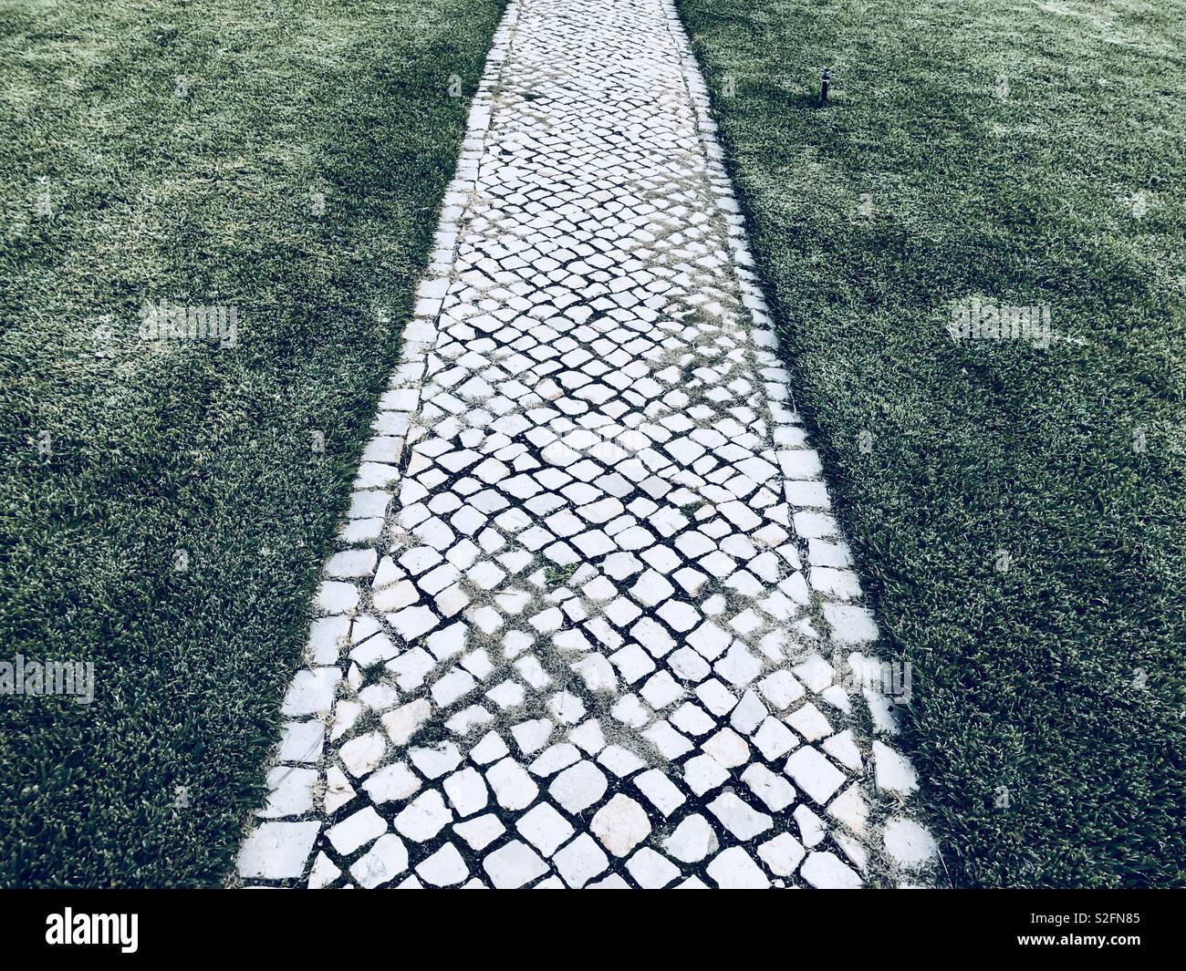 Paved path through grass - Smartphone Captured Stock Image