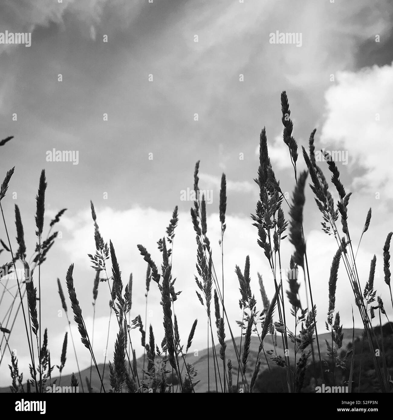 Grey sky cloud Black and White Stock Photos & Images - Alamy