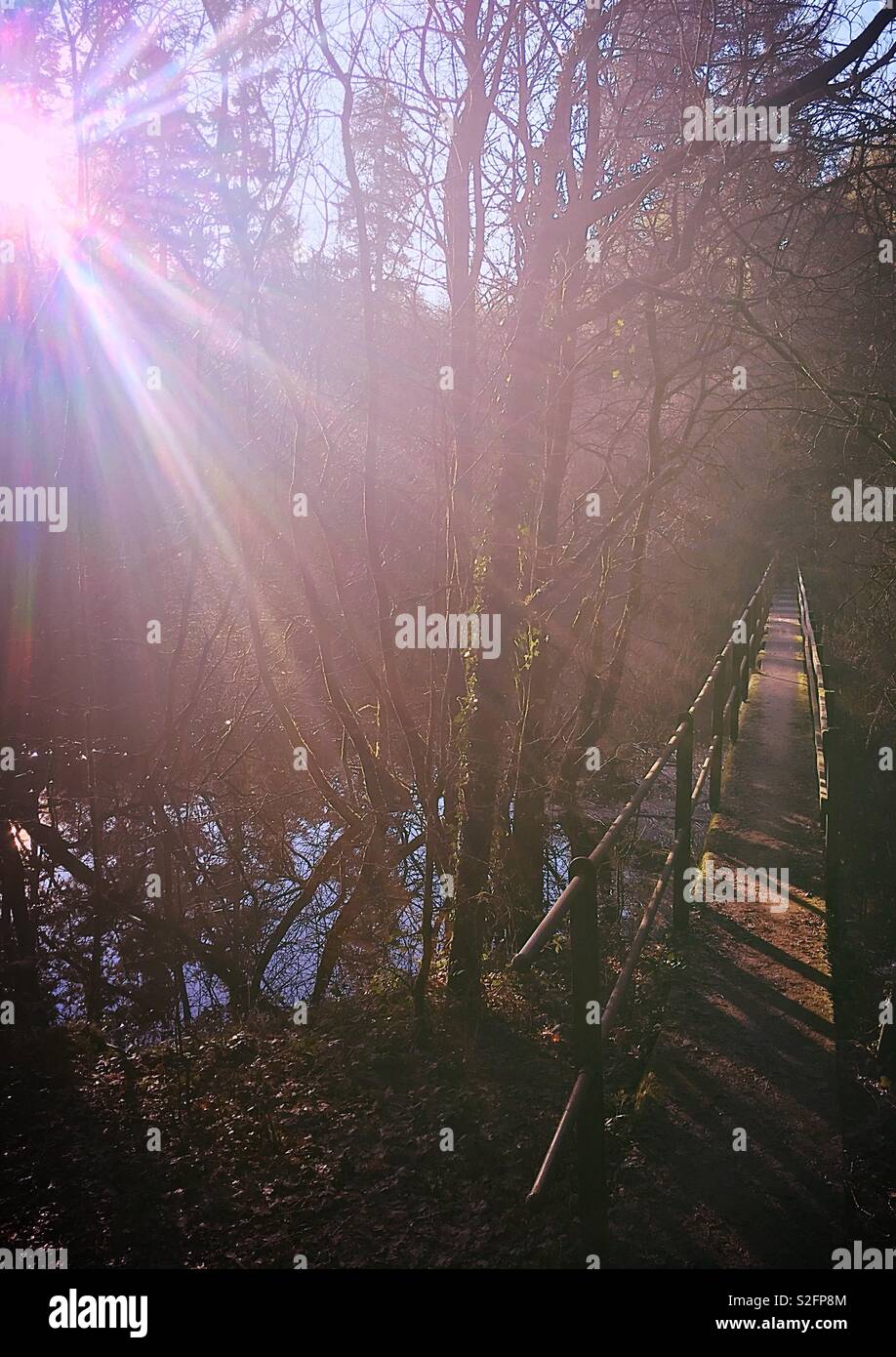 Afternoon sun over a bridge - Smartphone Captured Stock Image
