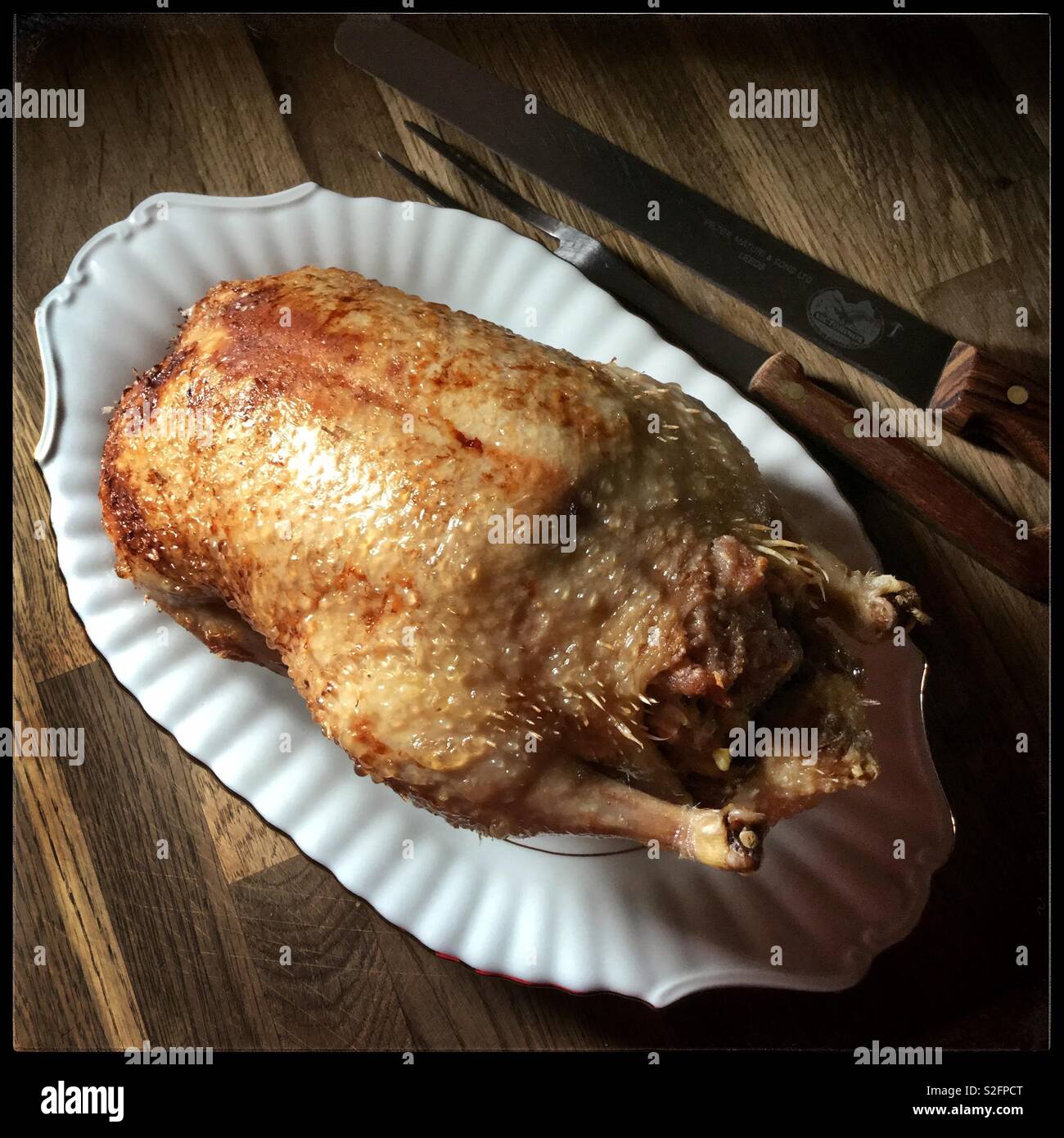 Roasted duck with carving knife. Stock Photo