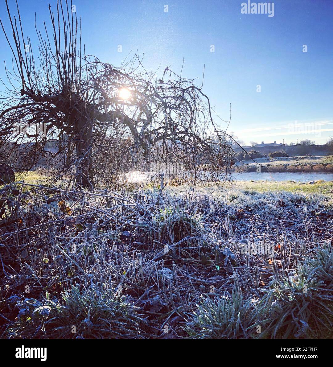 Frosty morning Annan River on Xmas eve Stock Photo