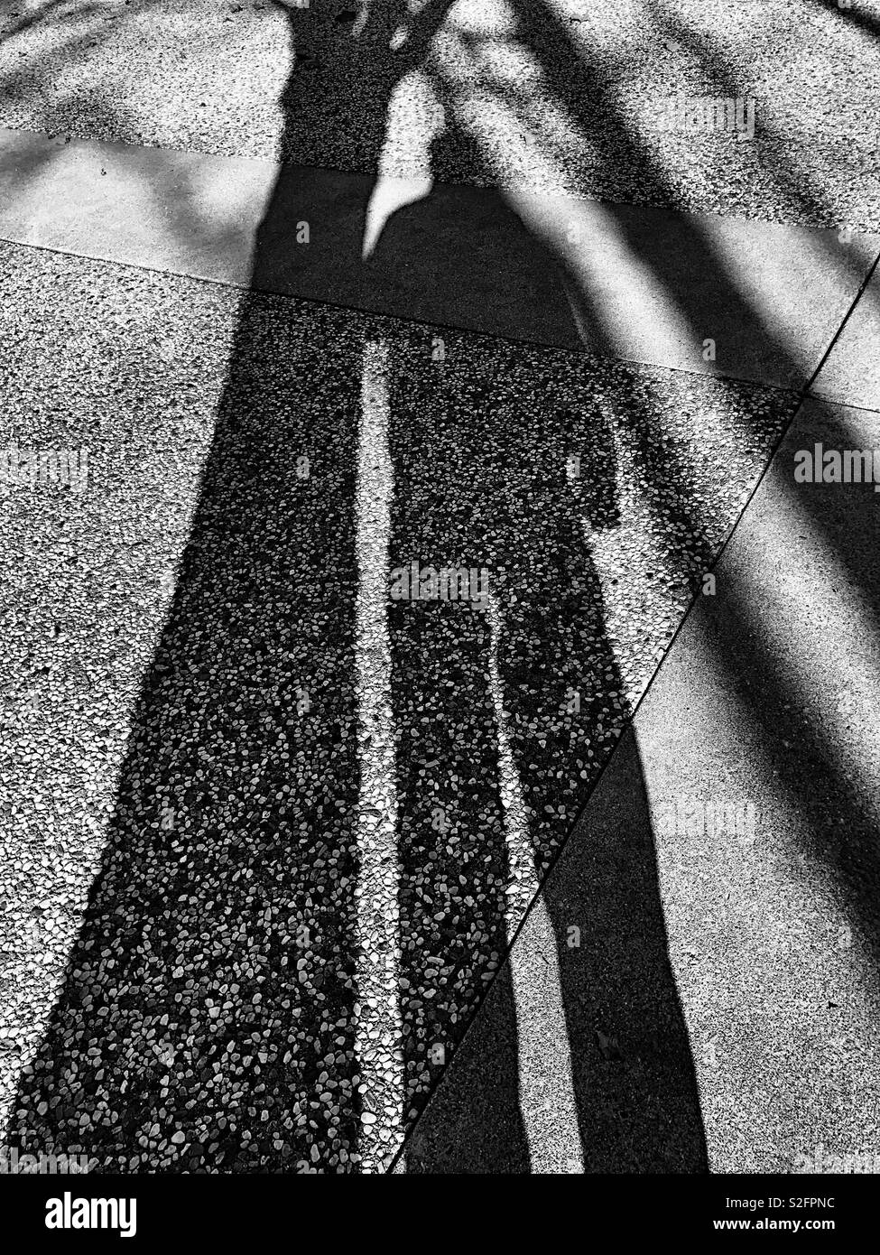 Tree and man shadows in black and white - Smartphone Captured Stock Image