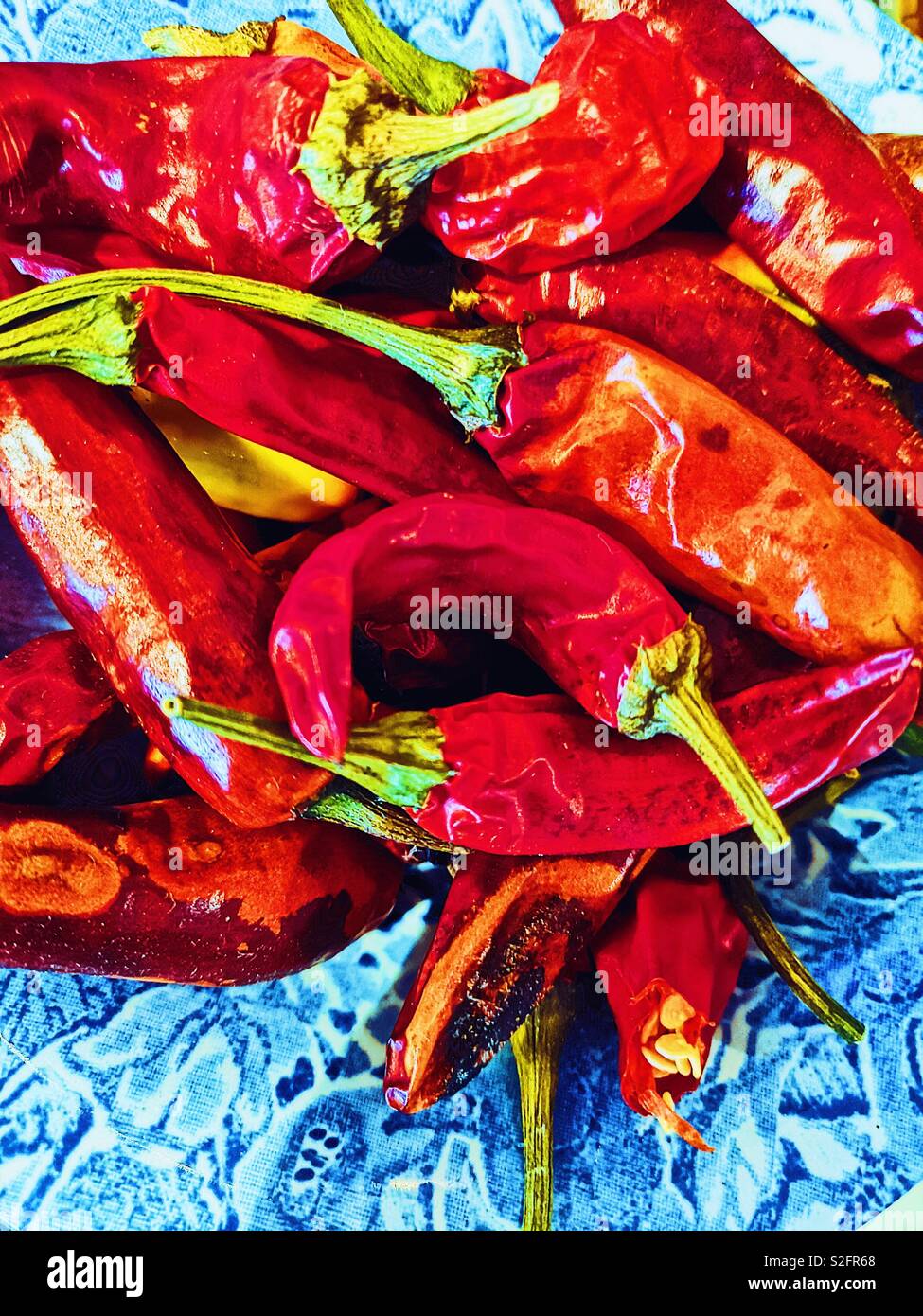Homegrown red chillies - Smartphone Captured Stock Image