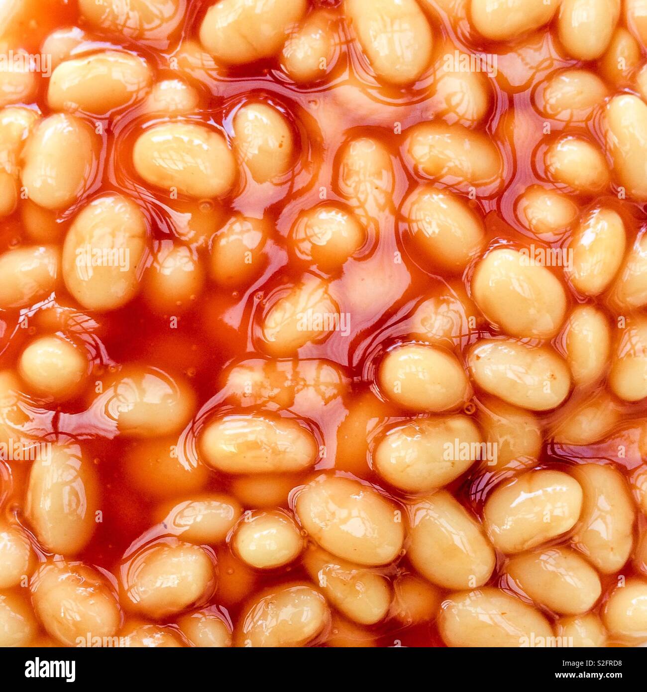 Baked beans in tomato sauce Stock Photo