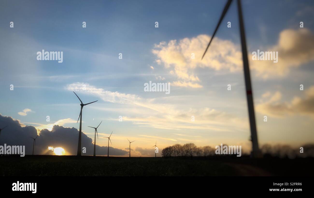 Group of wind turbines during sunset - Smartphone Captured Stock Image