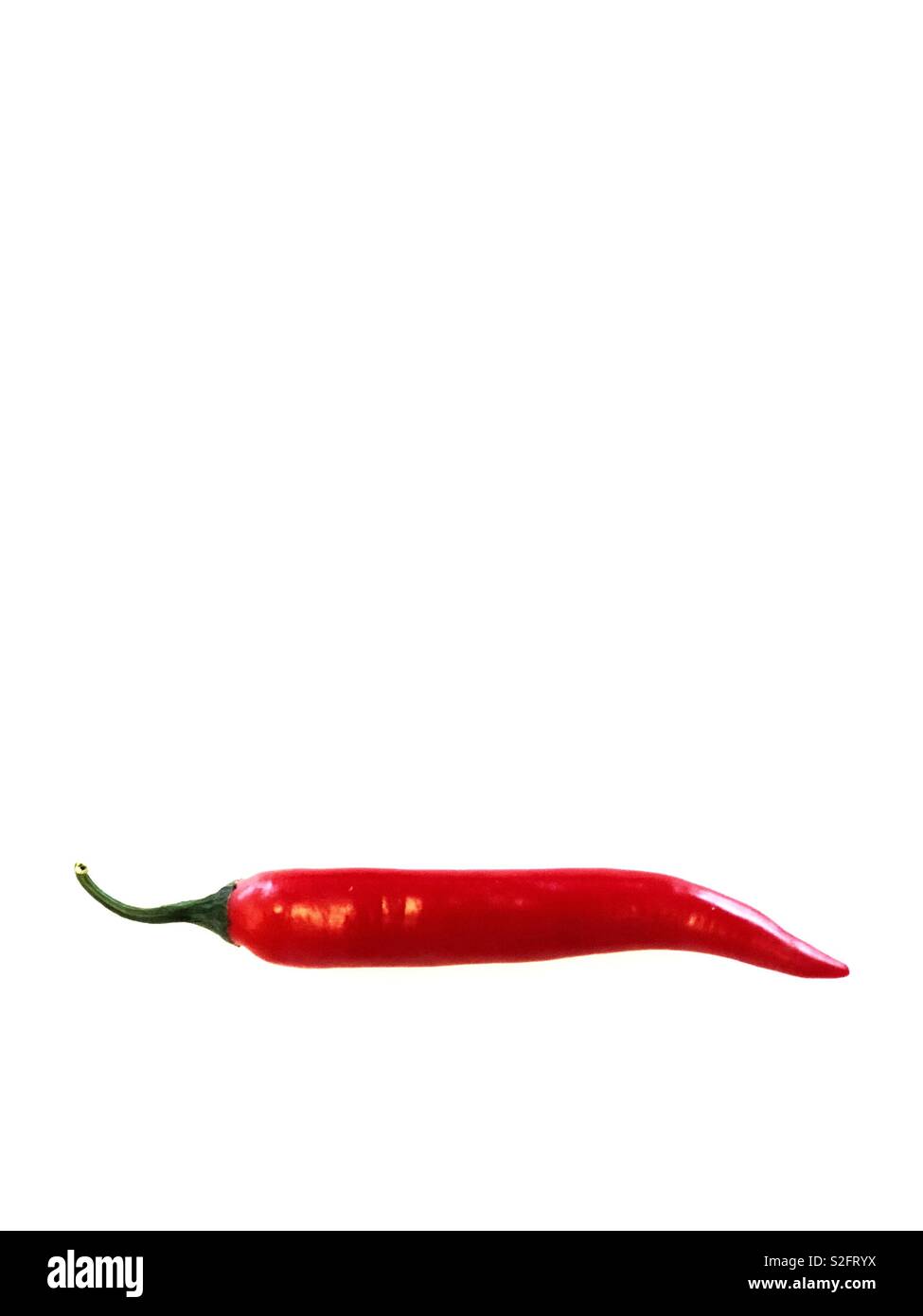 Red hot chilli pepper Stock Photo